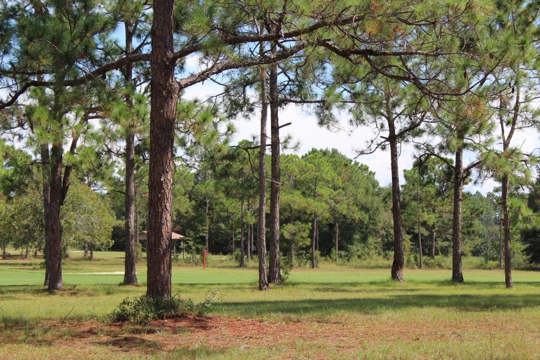 COUNTRY CLUB ESTATES - Residential