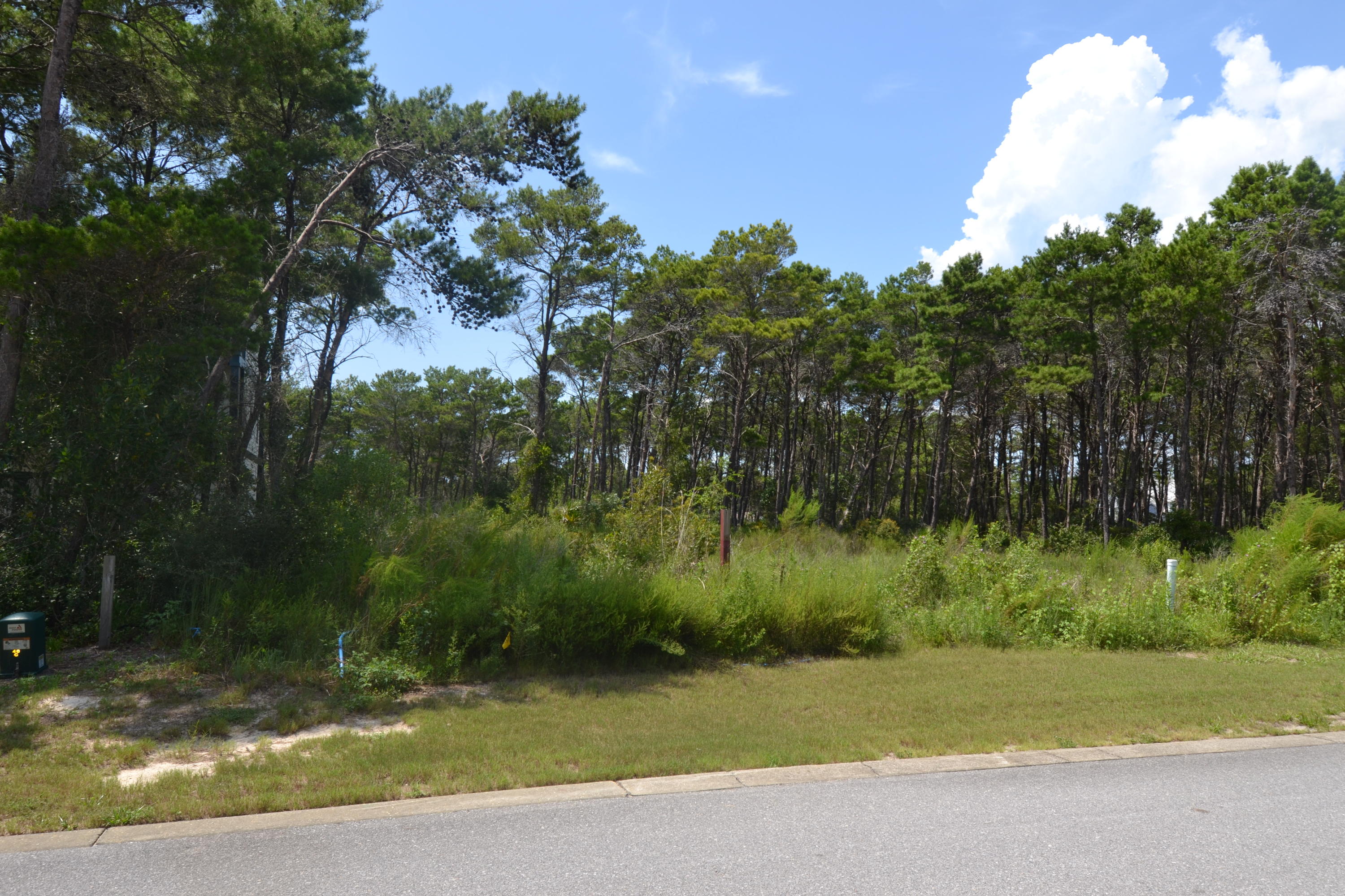 GRANDE POINTE AT INLET BEACH - Land