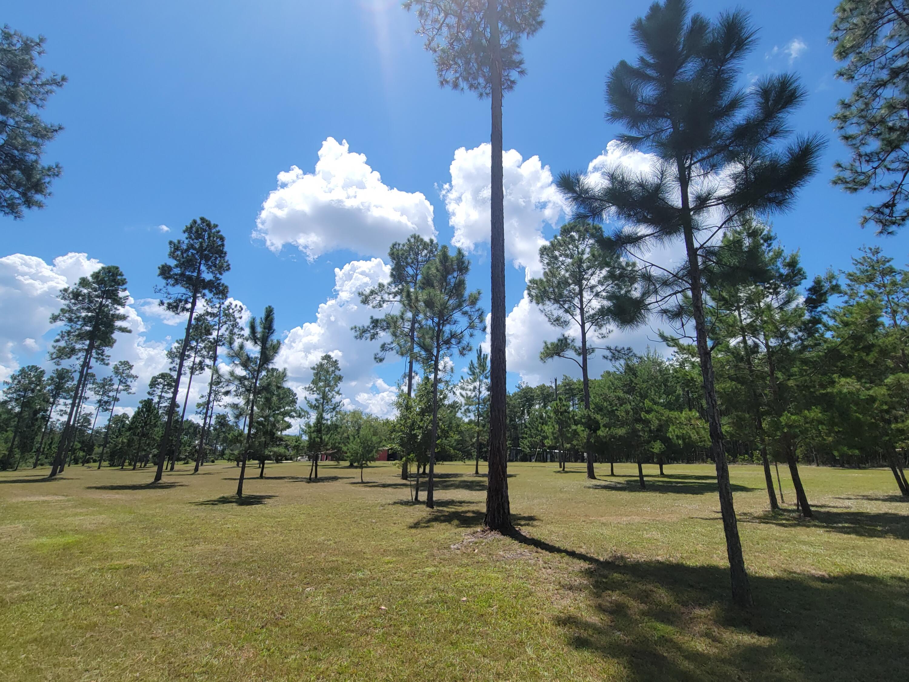 ROCK HILL ROAD UNREC - Residential