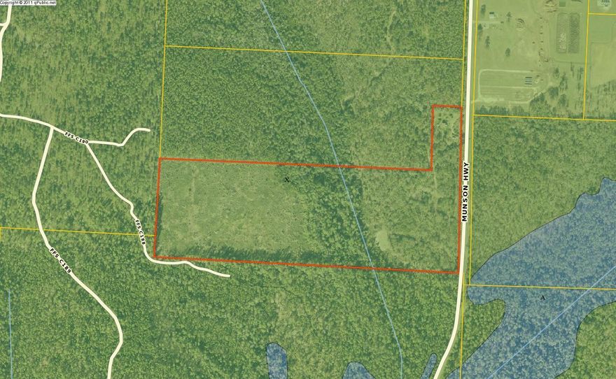 Hunters Delight and recreational activities are endless. This property borders Blackwater Forrest and is just minutes away from Krul Lake, Bear Lake, Hurricane Lake, and Adventures Unlimited. If you love the outdoors and quiet solitude this is the place to check out! There is already a food plot on site for the hunter! Property appraiser shows 43.75 AC of timber. Planted pines were cut from approximately 30 AC about 5 years ago. The site was not replanted. There are several old MH sites with wells and septics. No Warranties to any of the wells or septic systems in place. (There is an old farm house from 1910 on site. It has an effective age of 1960 .It is habitable, however, there is no value given to the home) SOLD AS IS. No Seller financing.