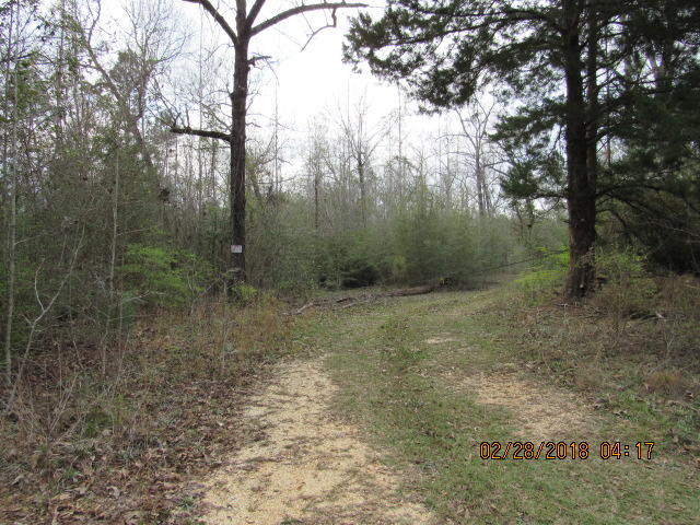 METES & BOUNDS - Land