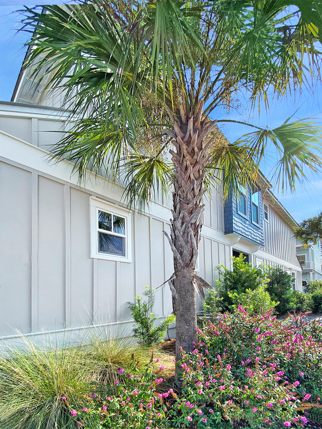 SERENITY AT DUNE ALLEN - Residential