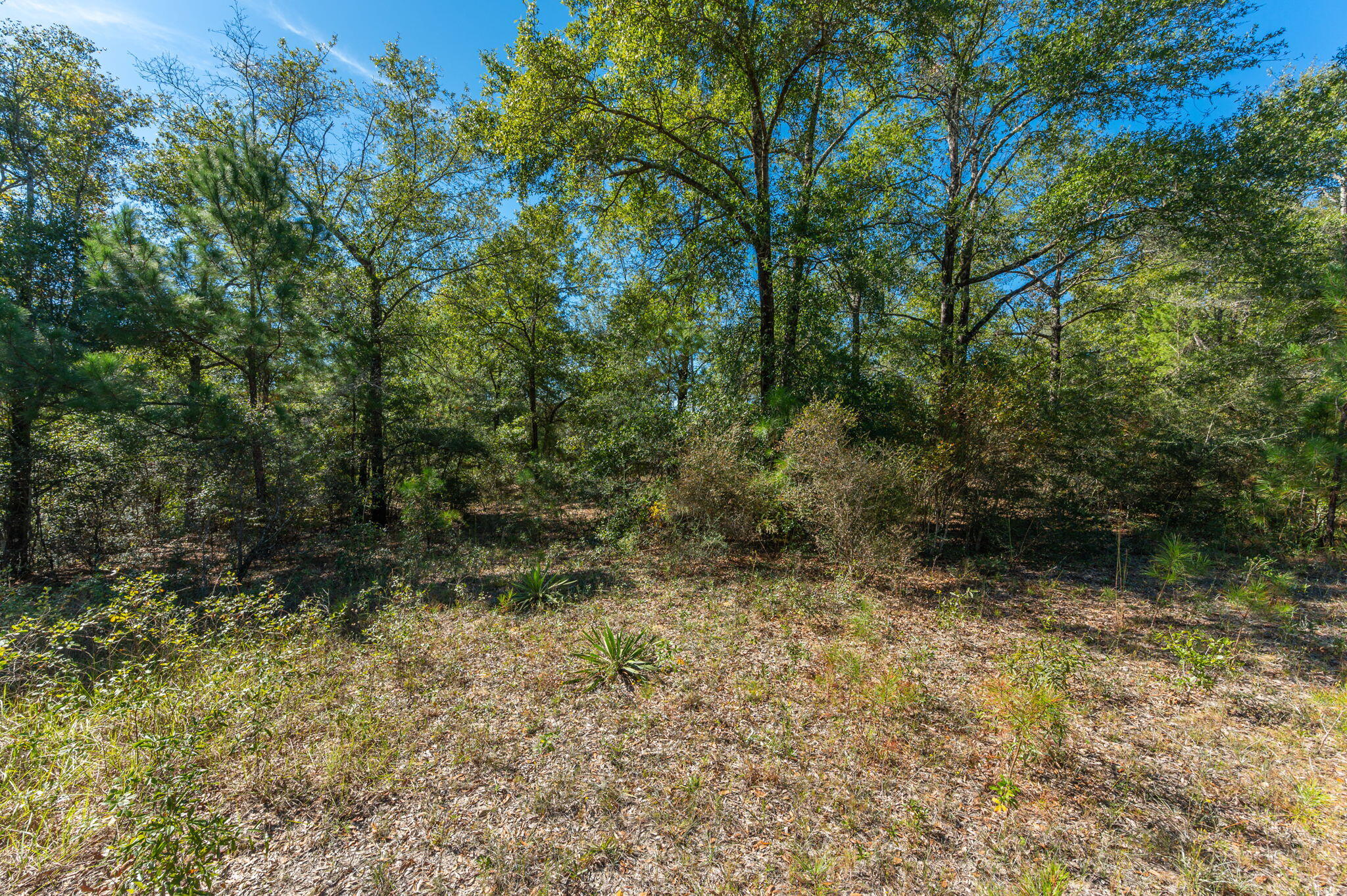 PLEASANT RIDGE ESTATES S/D - Land