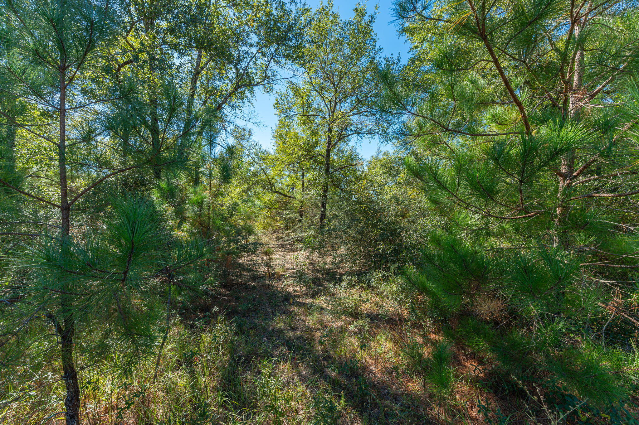 PLEASANT RIDGE ESTATES S/D - Land