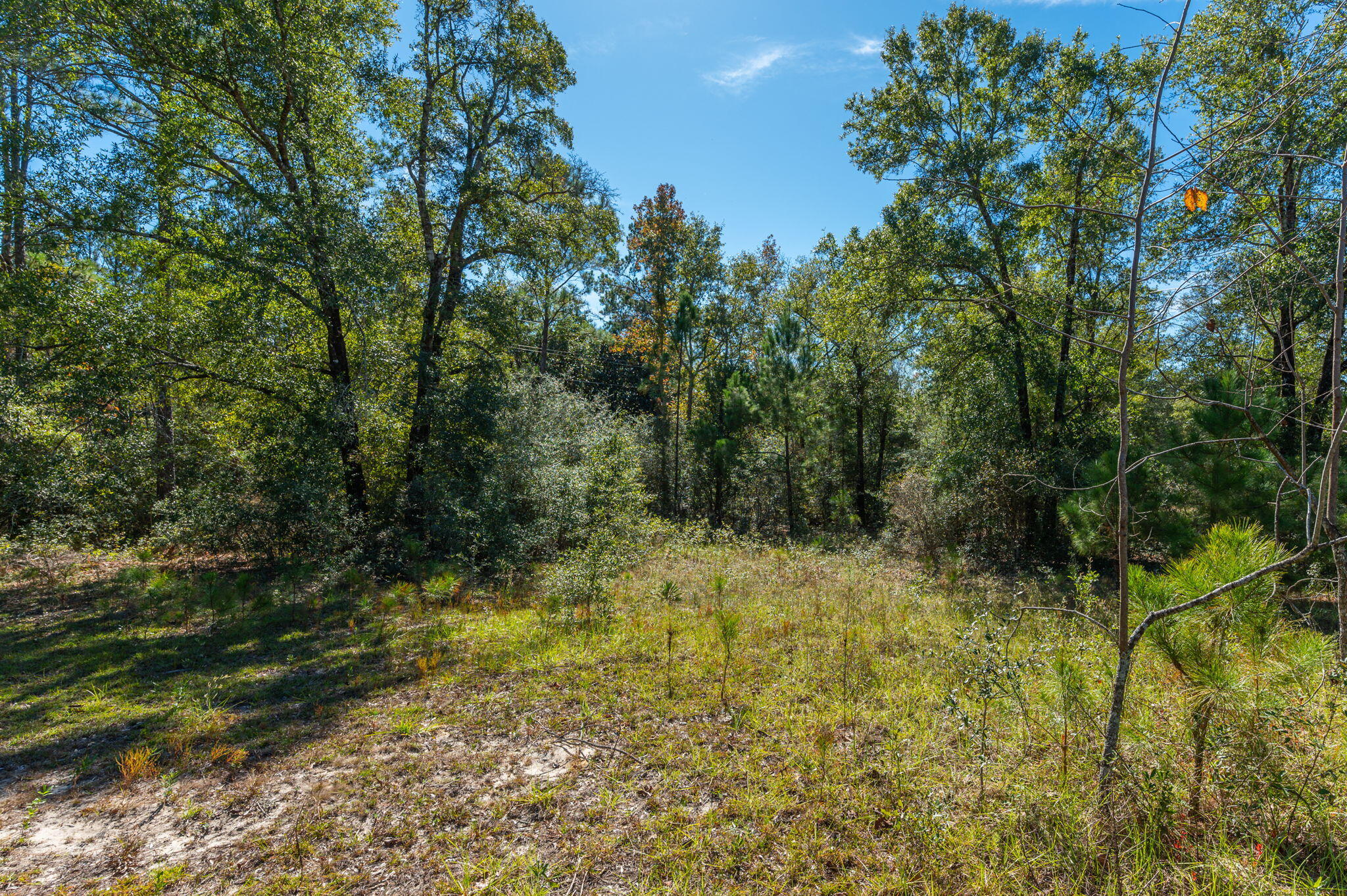 PLEASANT RIDGE ESTATES S/D - Land