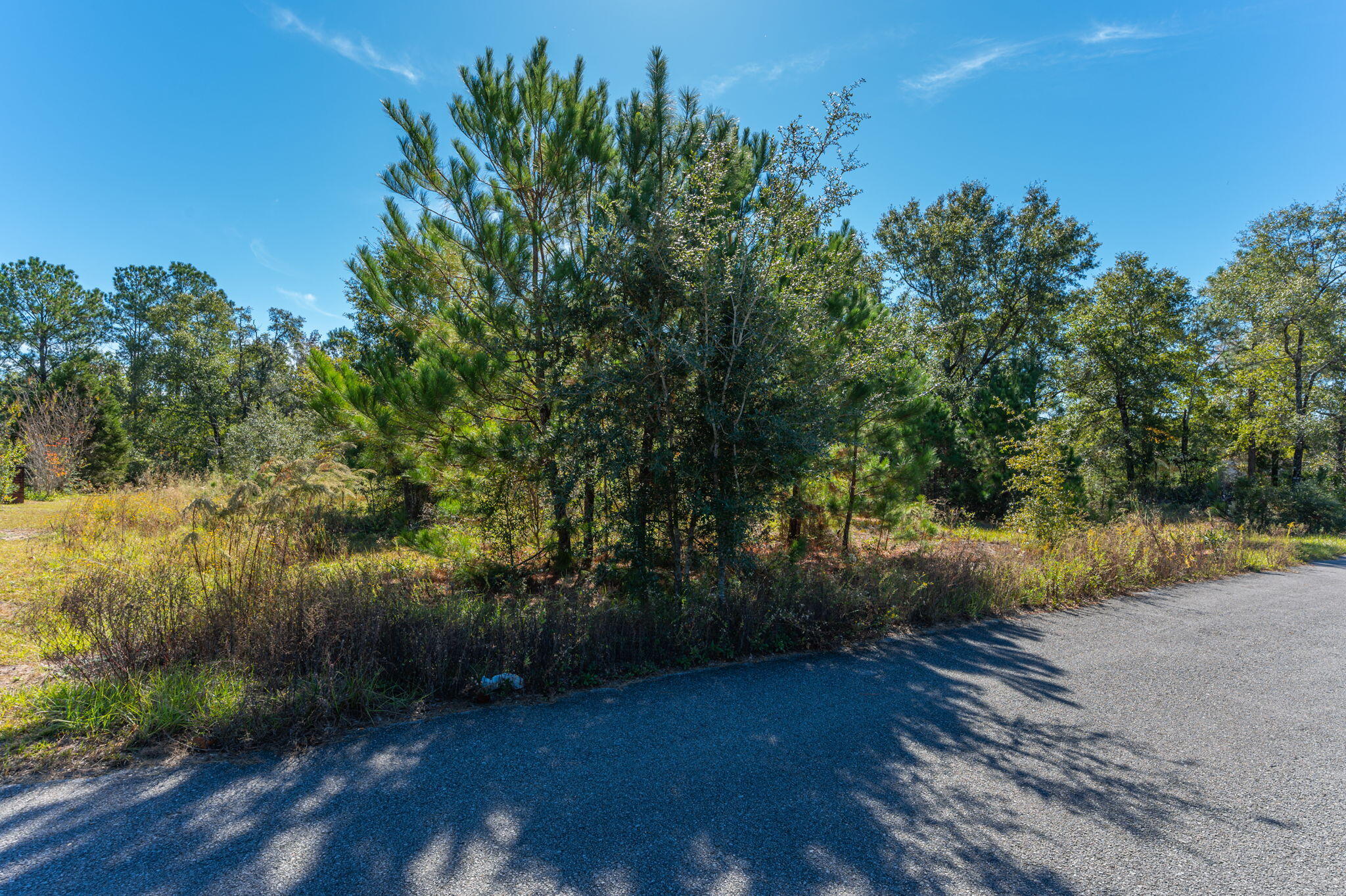 PLEASANT RIDGE ESTATES S/D - Land