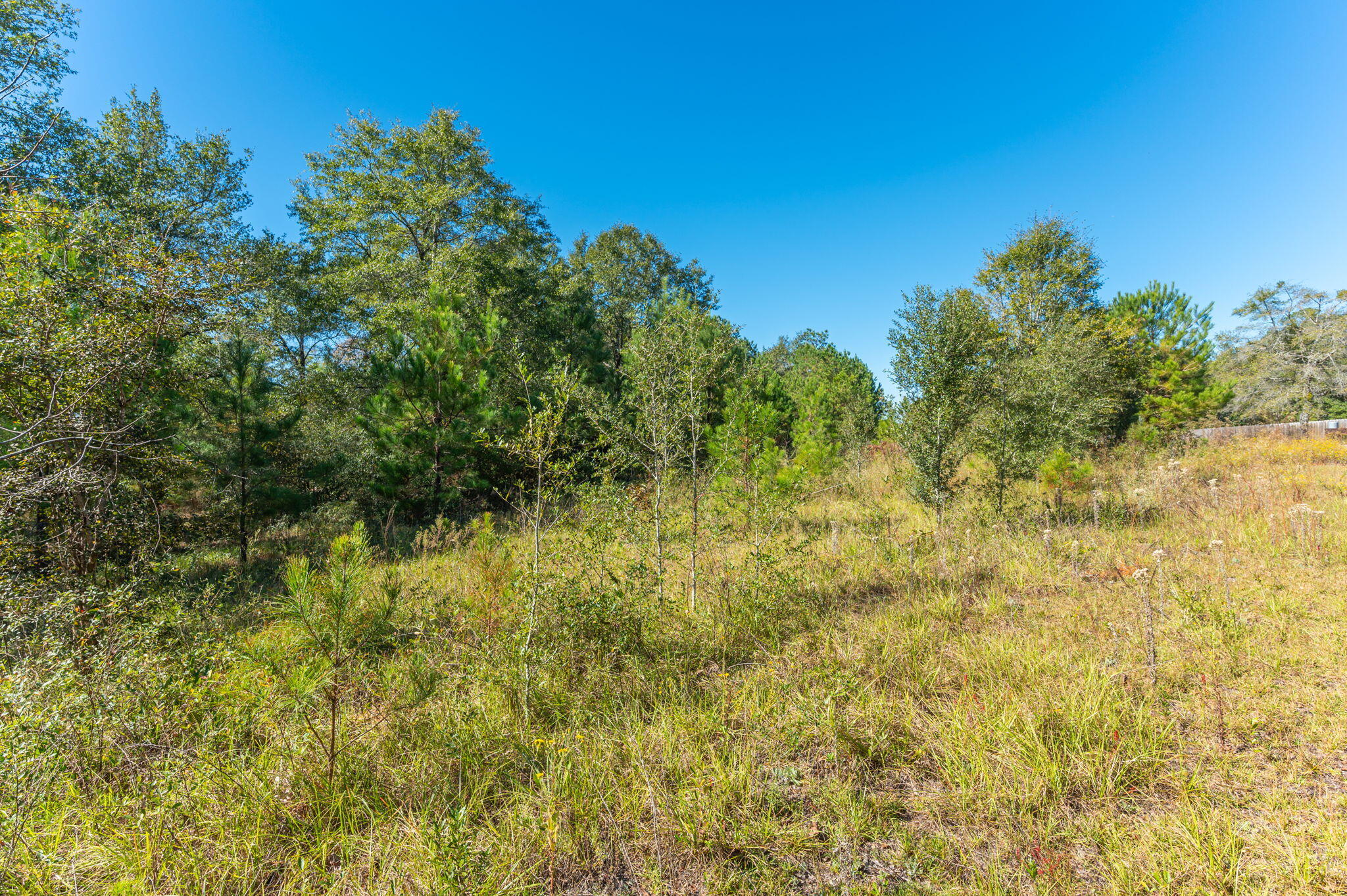 PLEASANT RIDGE ESTATES S/D - Land