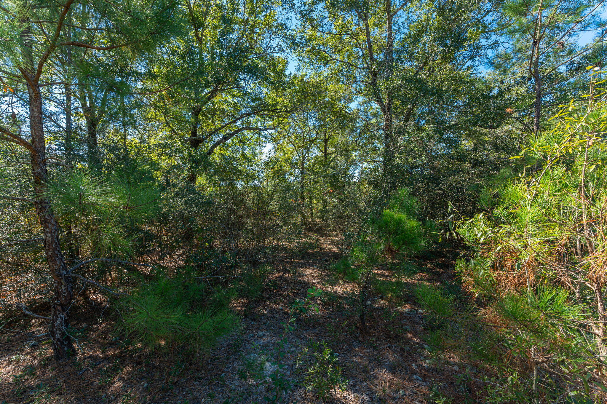 PLEASANT RIDGE ESTATES S/D - Land