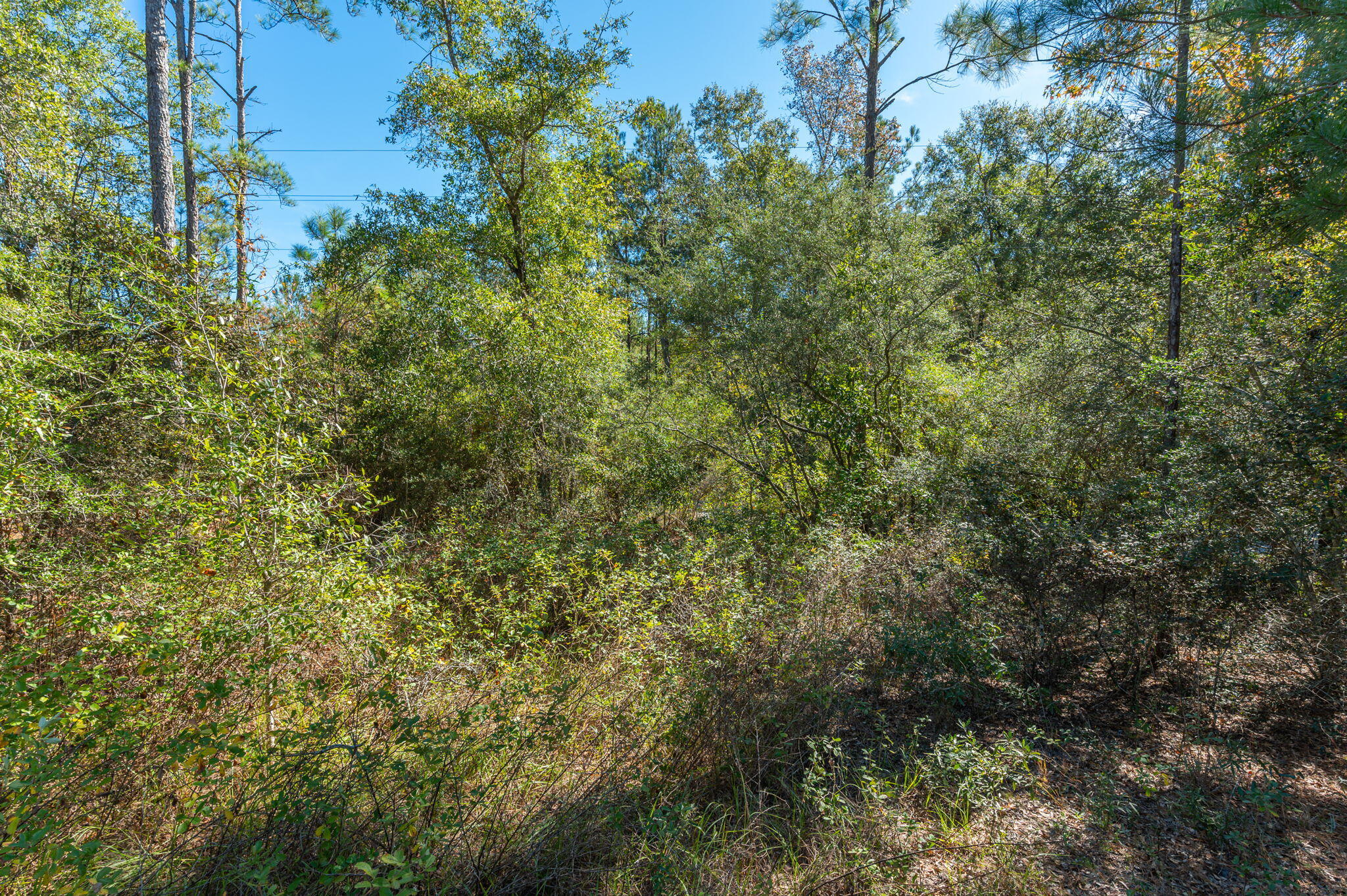 PLEASANT RIDGE ESTATES S/D - Land