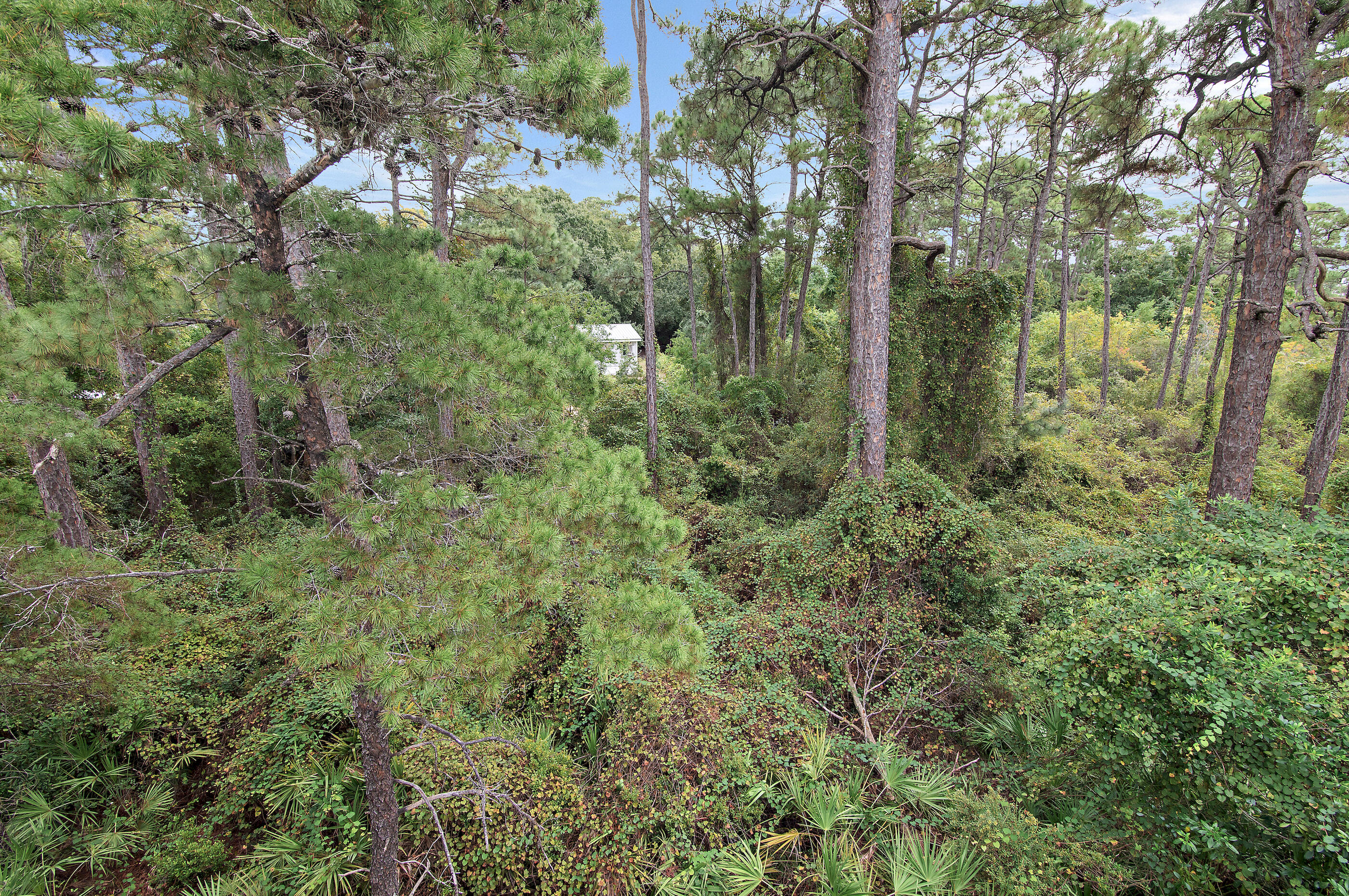 SERENITY AT DUNE ALLEN - Residential