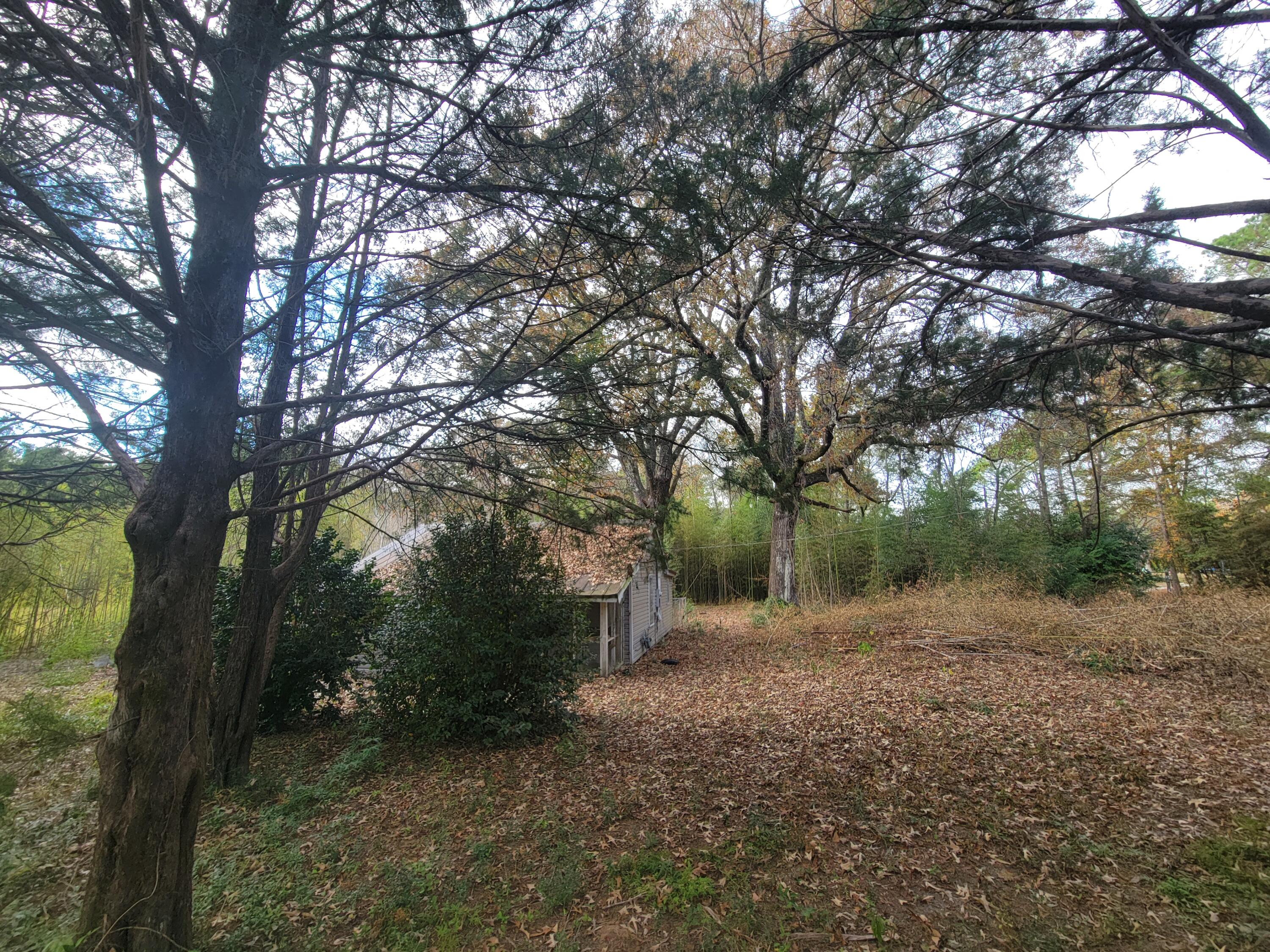 Metes and Bounds - Residential