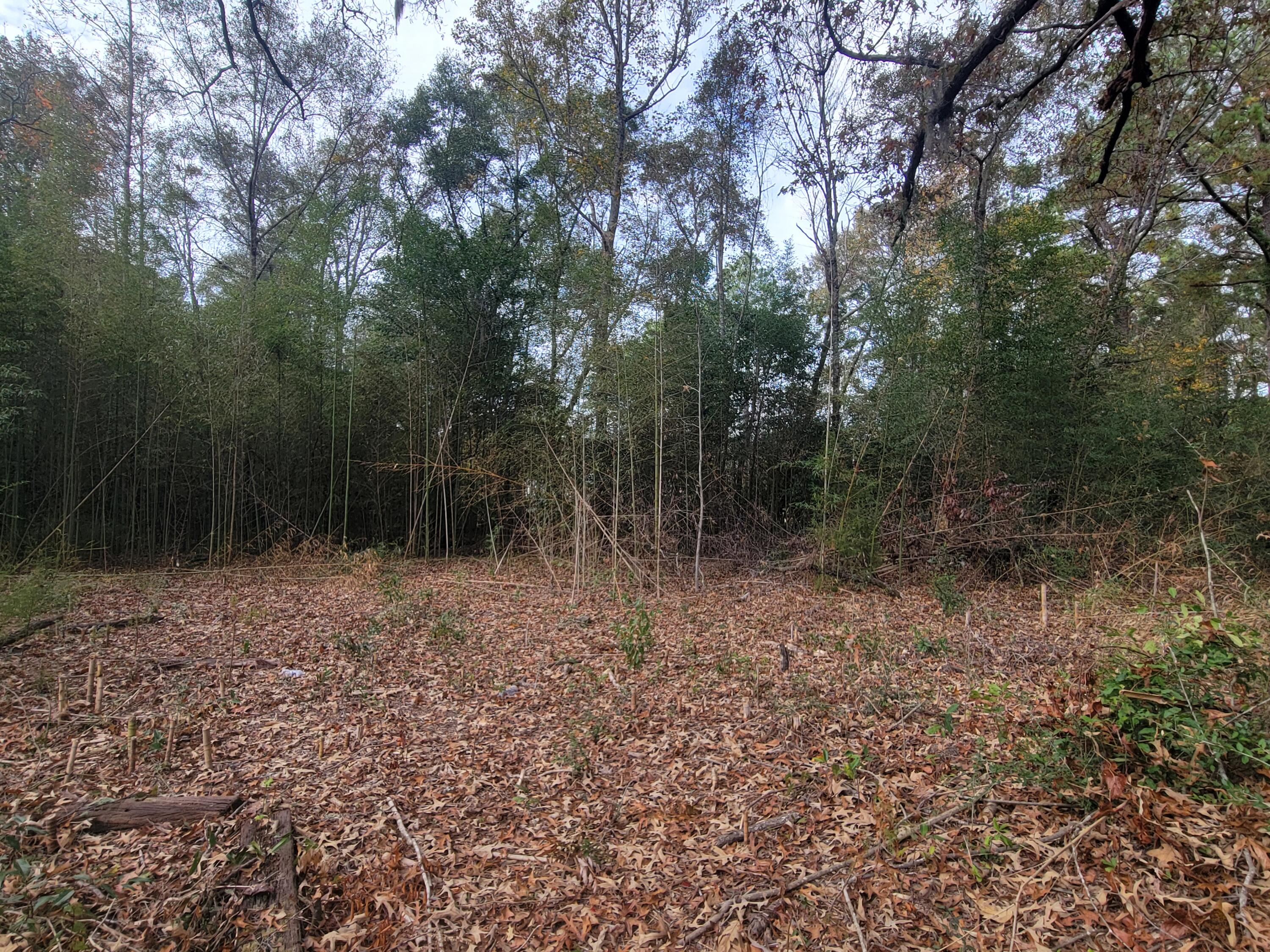 Metes and Bounds - Residential