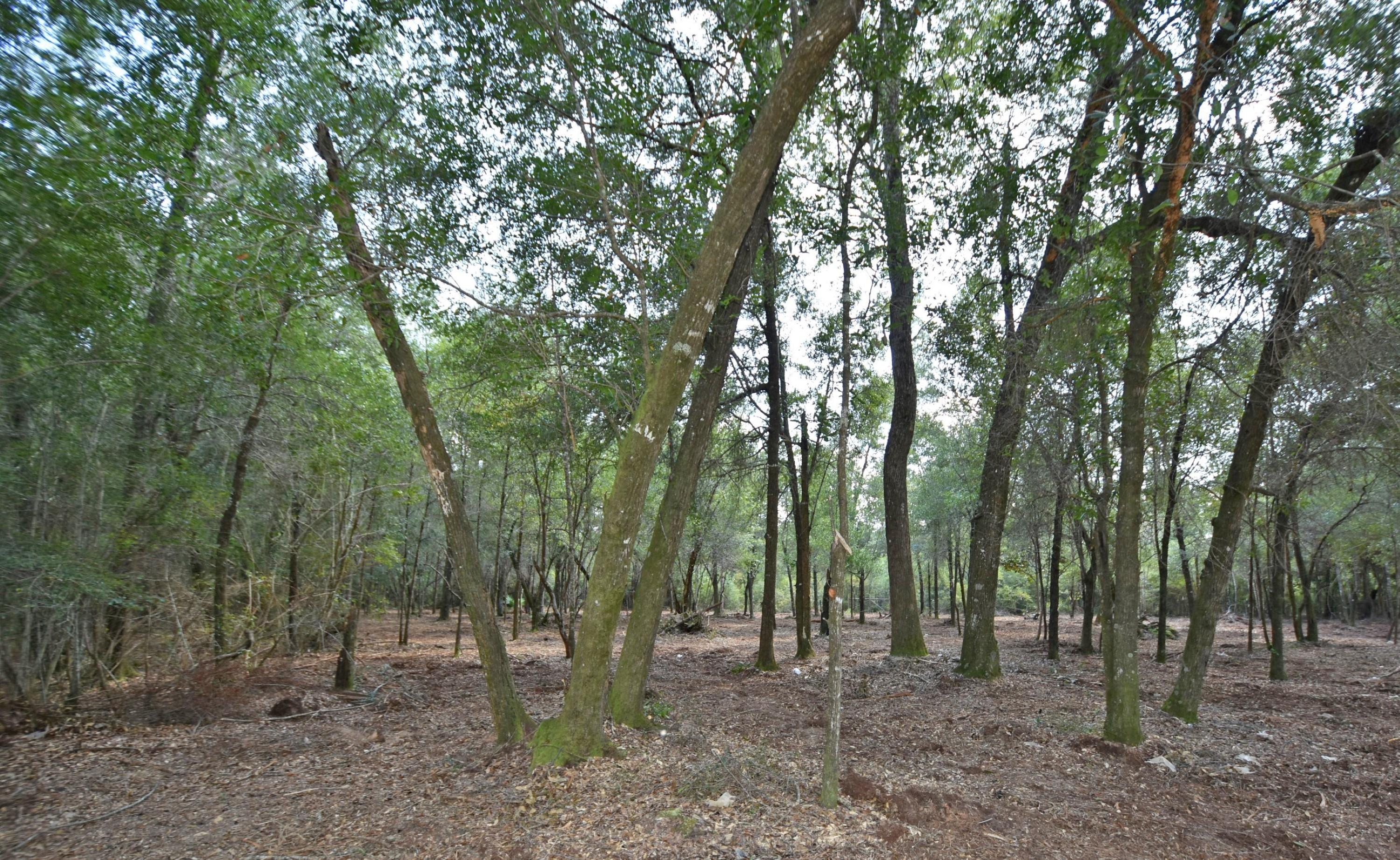 Metes and Bounds legal description - Land