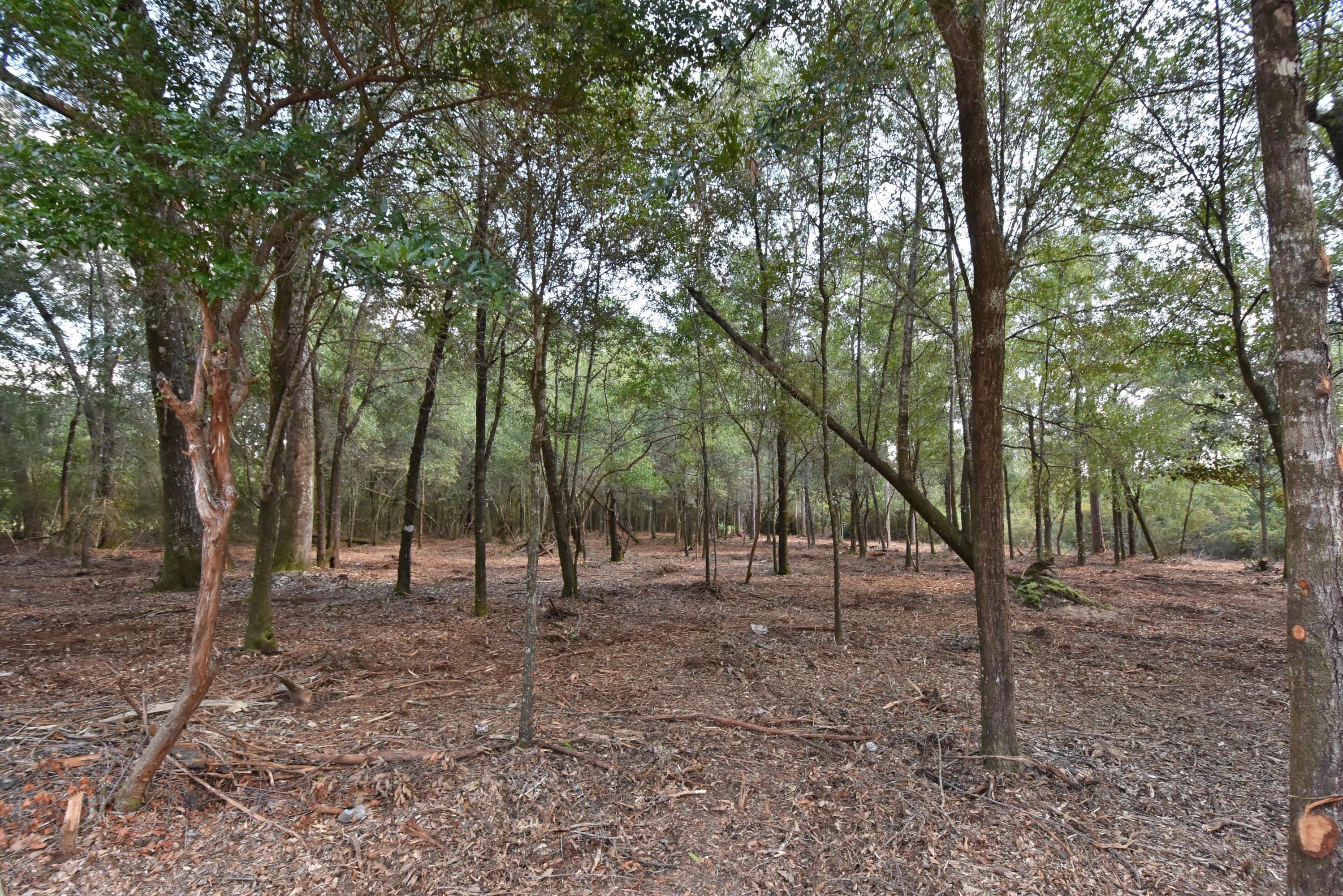 Metes and Bounds legal description - Land