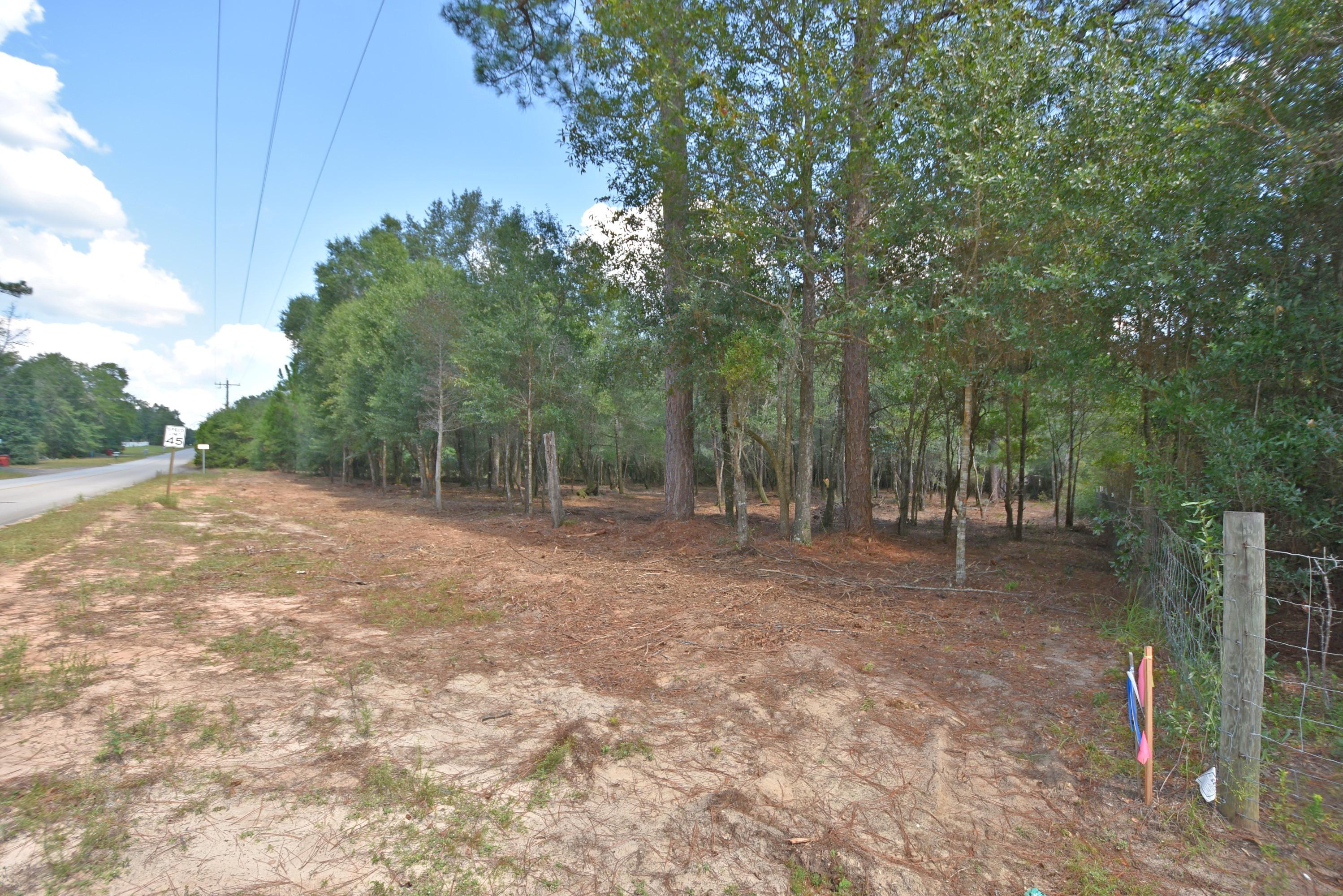 Woodsy ONE+ acre home site just waiting for your new home! Excellent wild life habitat near the Yellow River Watershed for: Deer, Turkey, and Wild Hogs; just to name a few! View this beautiful acreage today! Exact dimensions to be determined once new survey is completed. Utilities are available but not onsite. There is a drainage easement along the north line of the lot. Dimensions are estimated and will include approximately 1 acre. Owner will consider financing with 10% down payment! Deed restricted to no mobile homes (homes that are delivered with a VIN). Modular homes may be allowed.