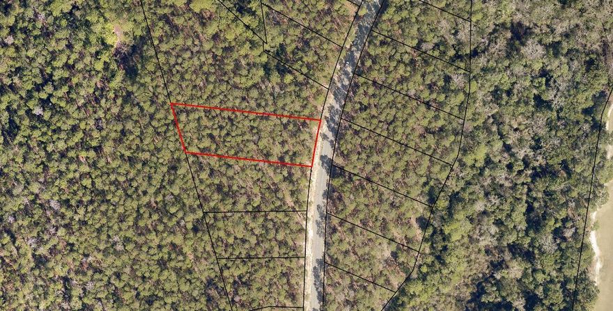 Its time to build your dream home! Welcome to Wild Heron, a beautifully done planned development built around a Greg Norman designed golf course, Sharks Tooth, as well as wrapping around Florida's largest coastal dune lake, Lake Powell. And with .7 acres, this homesite is large enough to add a pool! Also, within the community are nature trails, a fitness center, community pool, private dock, tennis courts, parks, and a lakeside grill and fire pit. If that's not enough, the Boathouse at Prospect Point offers access to Lake Powell as well! What are you waiting for?! Stop reading, and make an offer!