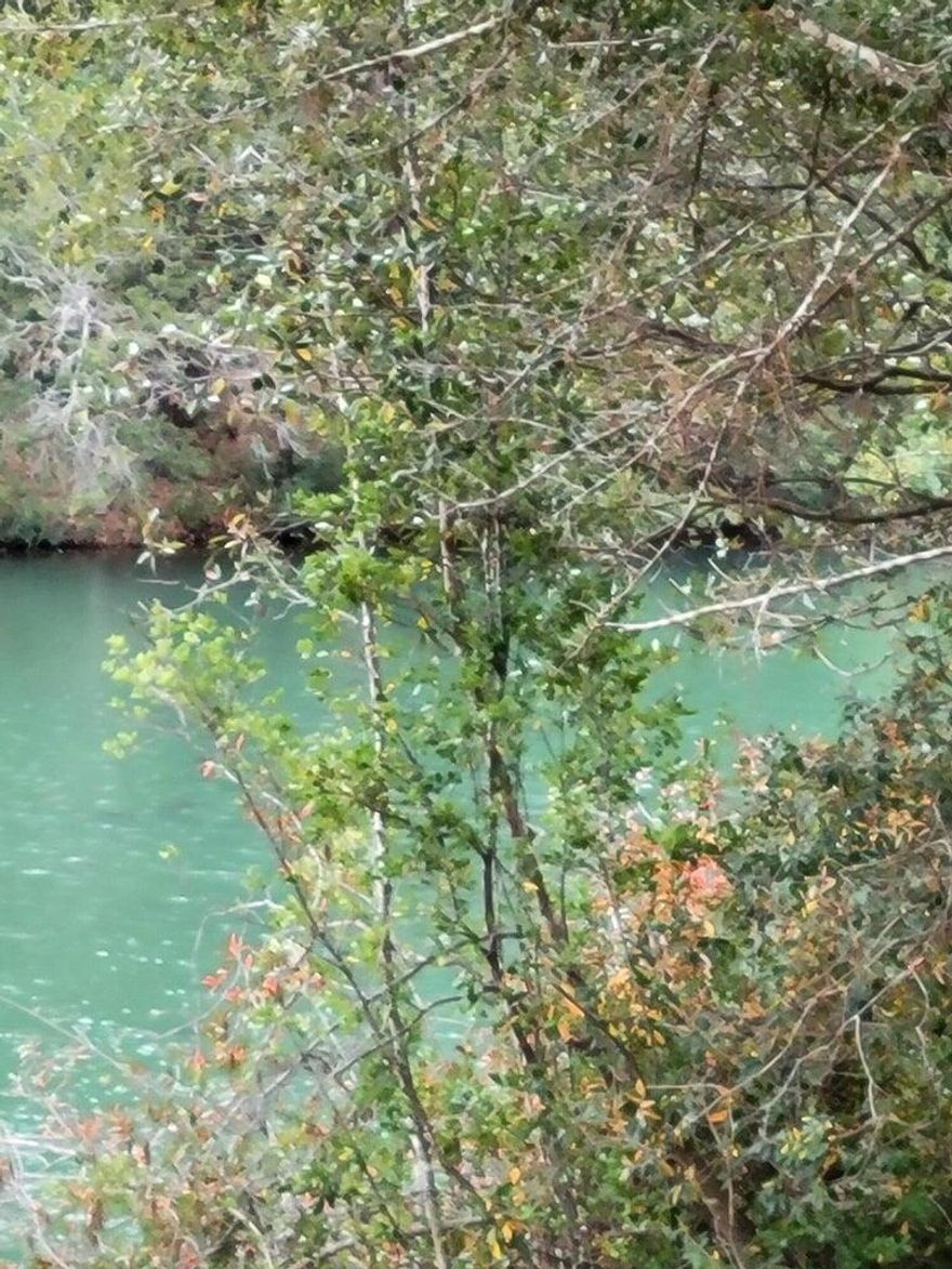 One of the last few lots available! WATERFRONT!! Build your dream home on the lake. Site with access to 2 lakes. Dead end road leading into secluded neighborhood. Don't miss this opportunity to live in this well-established neighborhood.