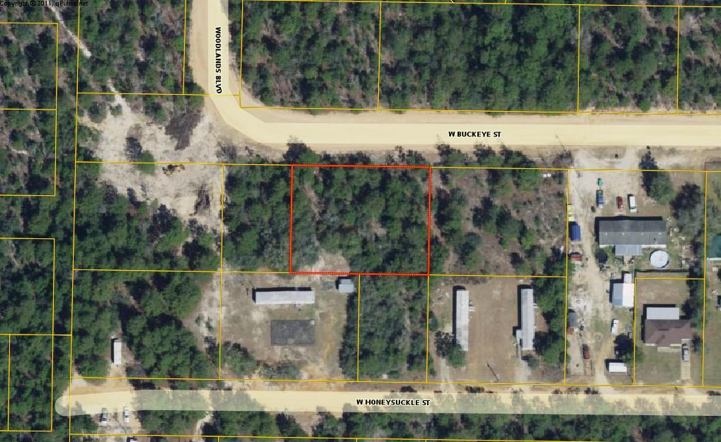 Large almost 1/2 acre buildable lot in Mossy Head, a fast growing community west of historic DeFuniak Springs. The property offers easy access to Crestview and Eglin Air Force Base.