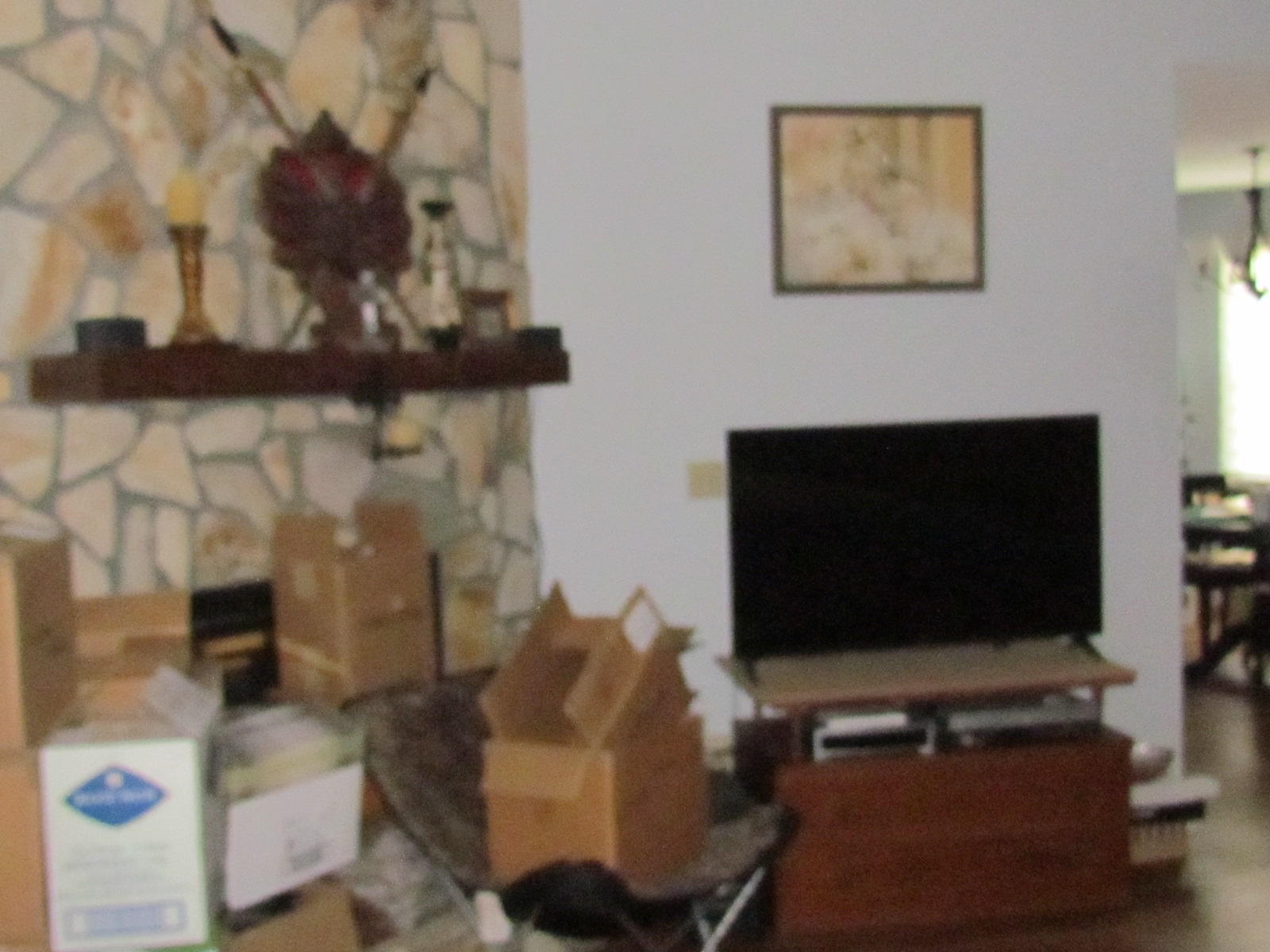 BLUE PINE VILLAGE PH 3 - Residential Lease