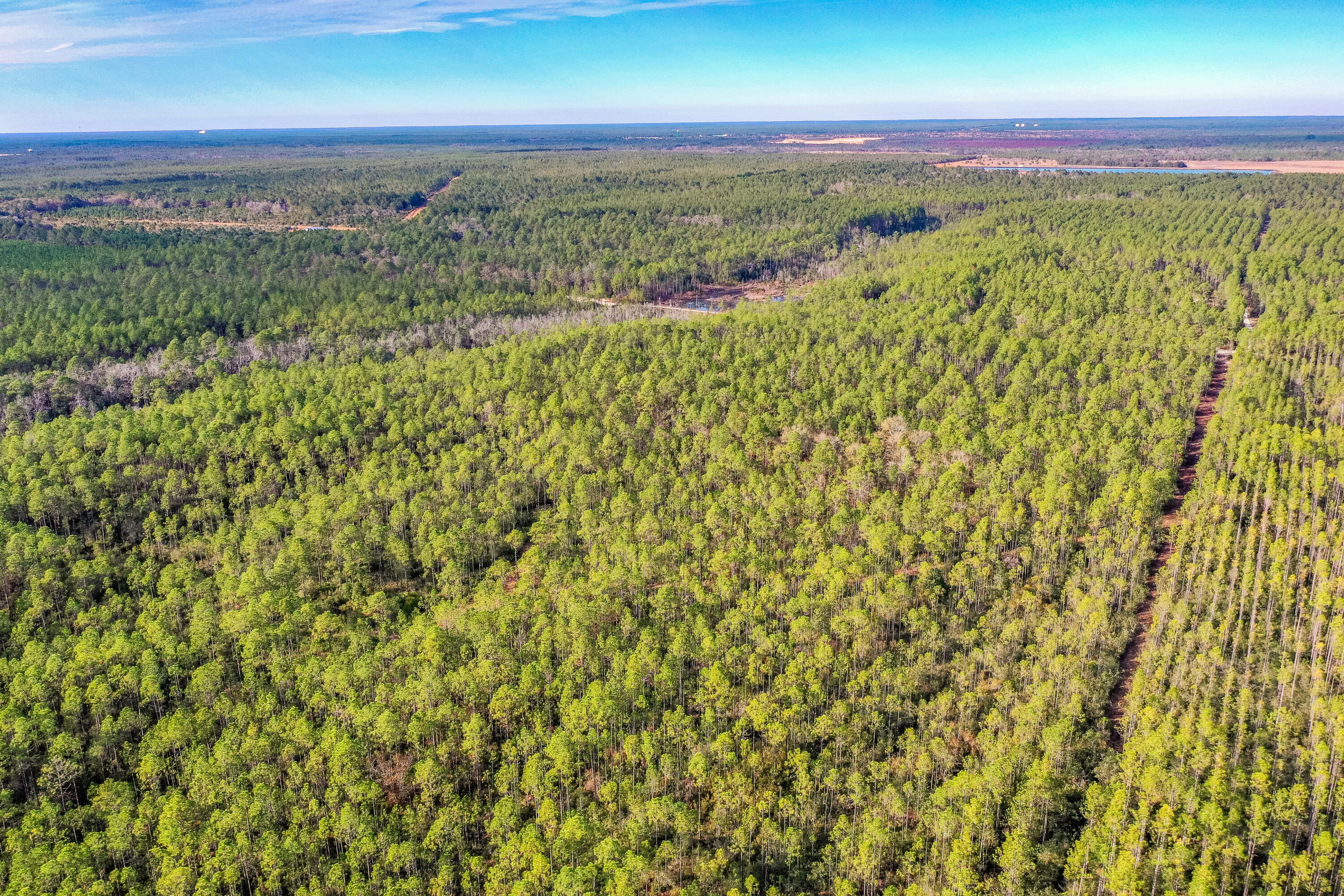 10 acres off Joe Dugger Rd - Land