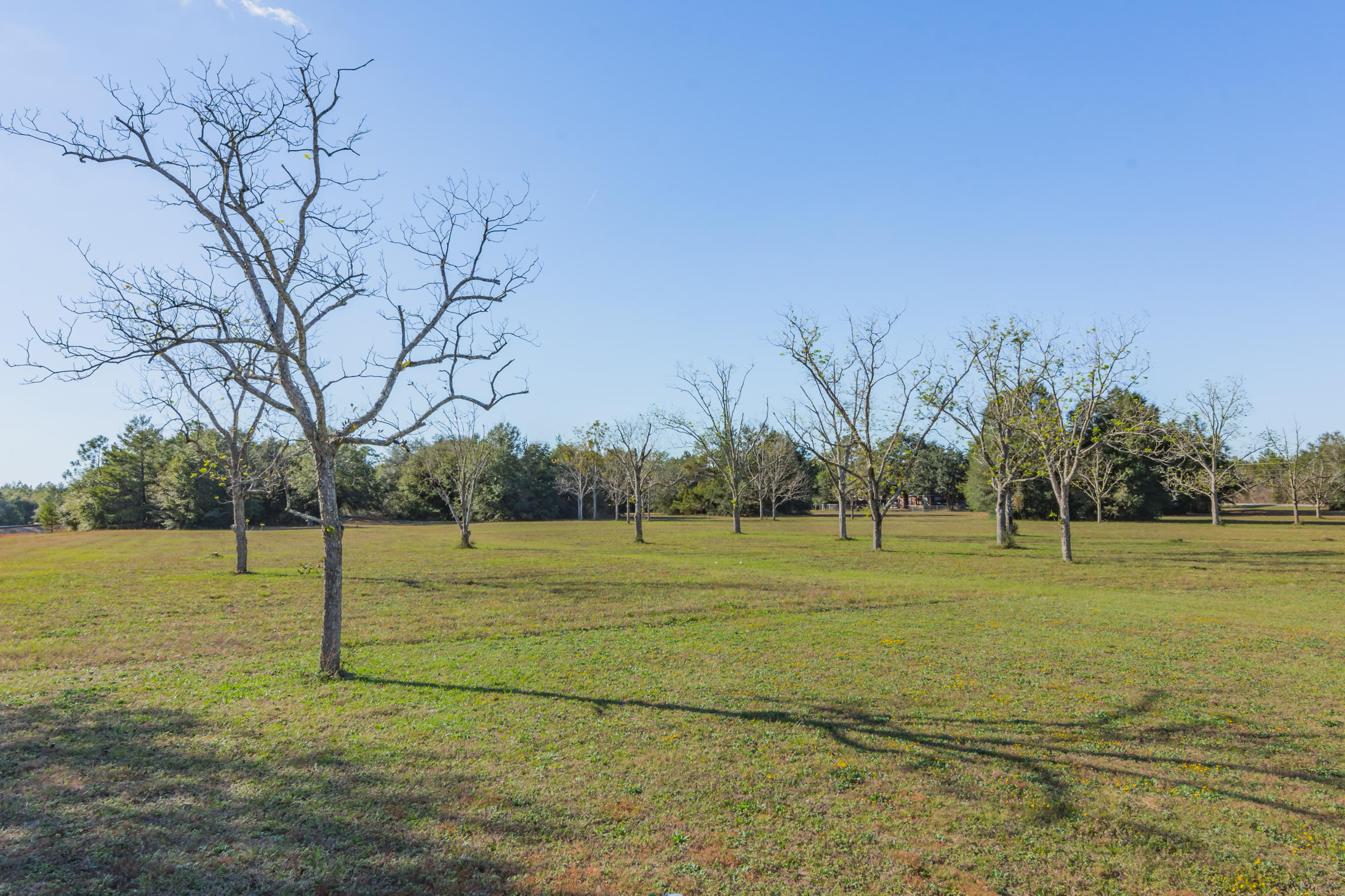 Metes and Bounds - Residential
