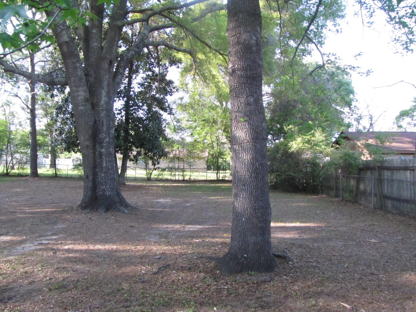 ADAMS POWELL EAST - Residential Lease