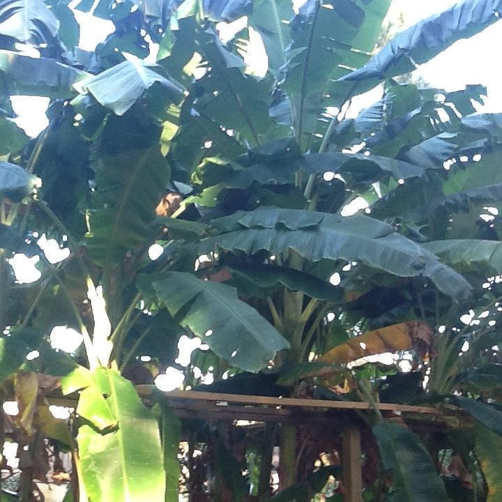 EAGLES LANDING S/D - Residential