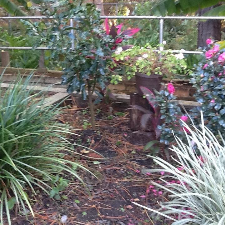 EAGLES LANDING S/D - Residential