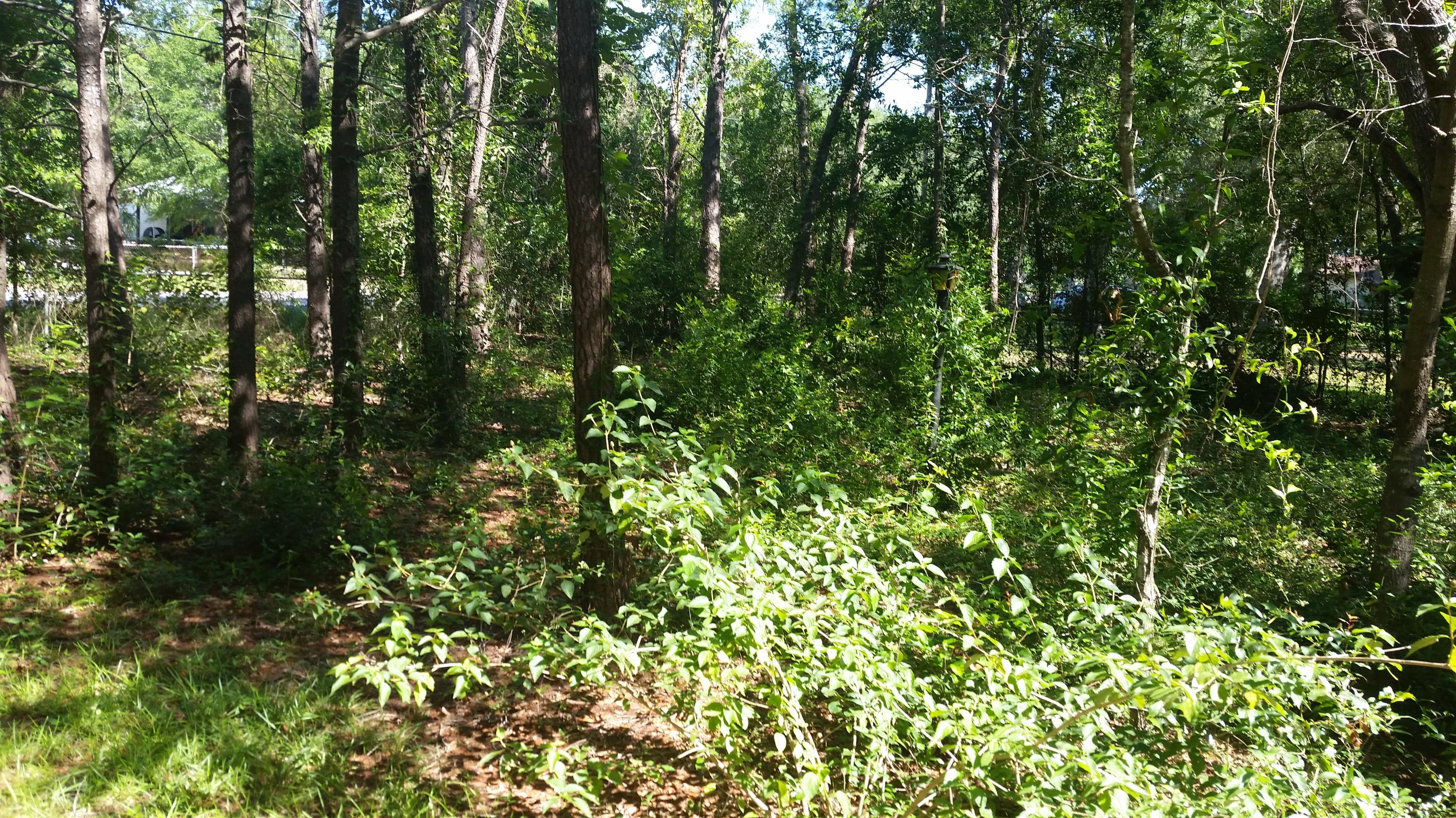 LLOYD & HETHERINGTON - Residential