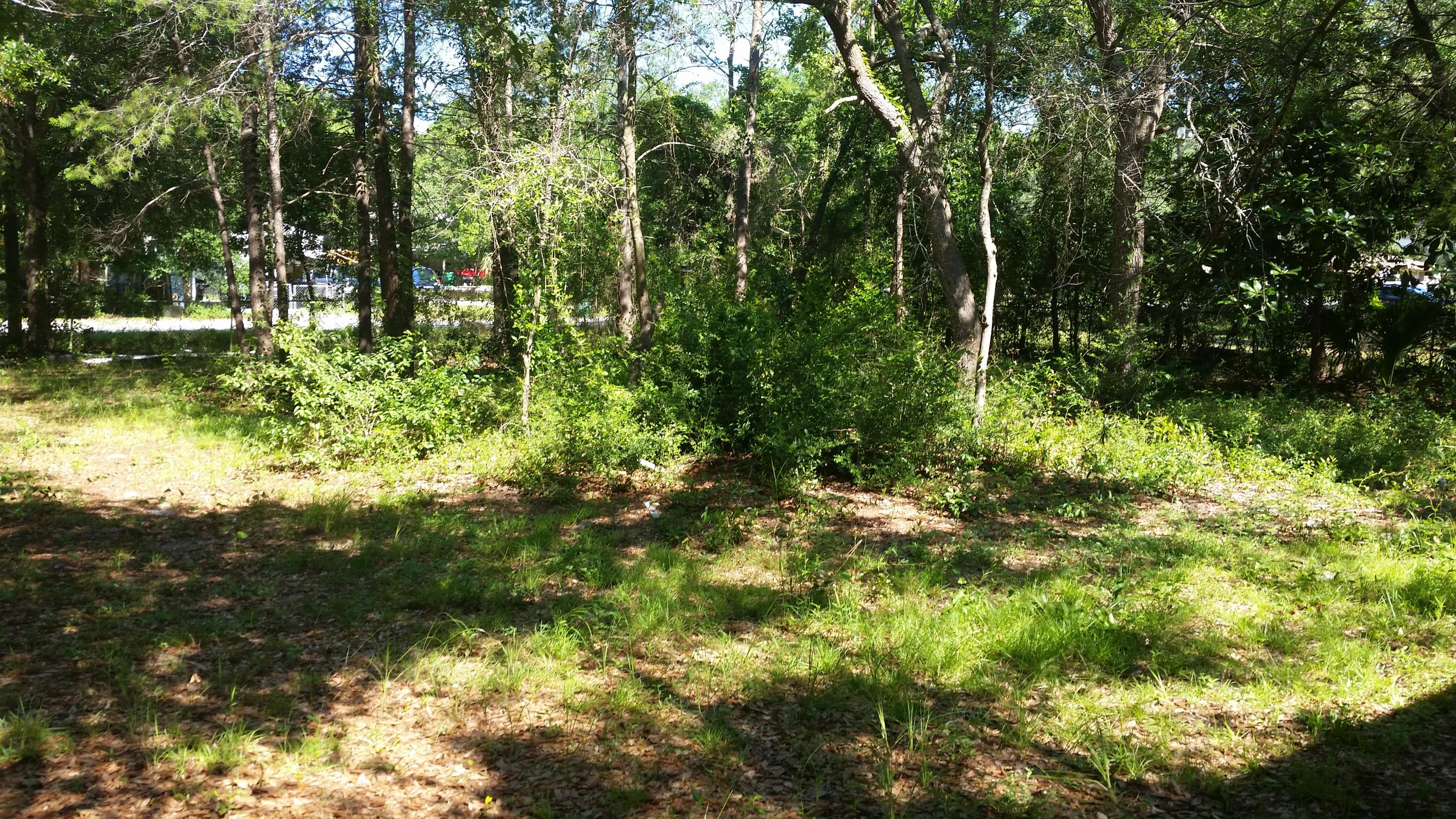 LLOYD & HETHERINGTON - Residential