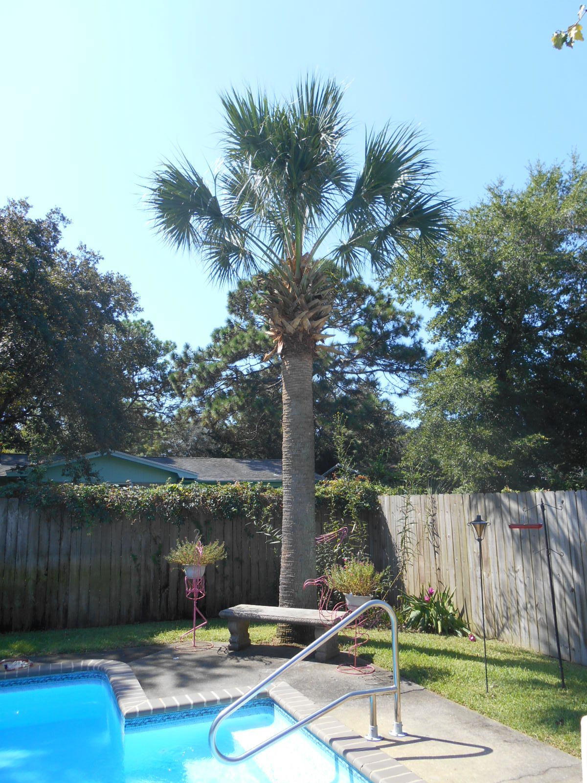 BAYOU WOODS 2ND ADDN - Residential