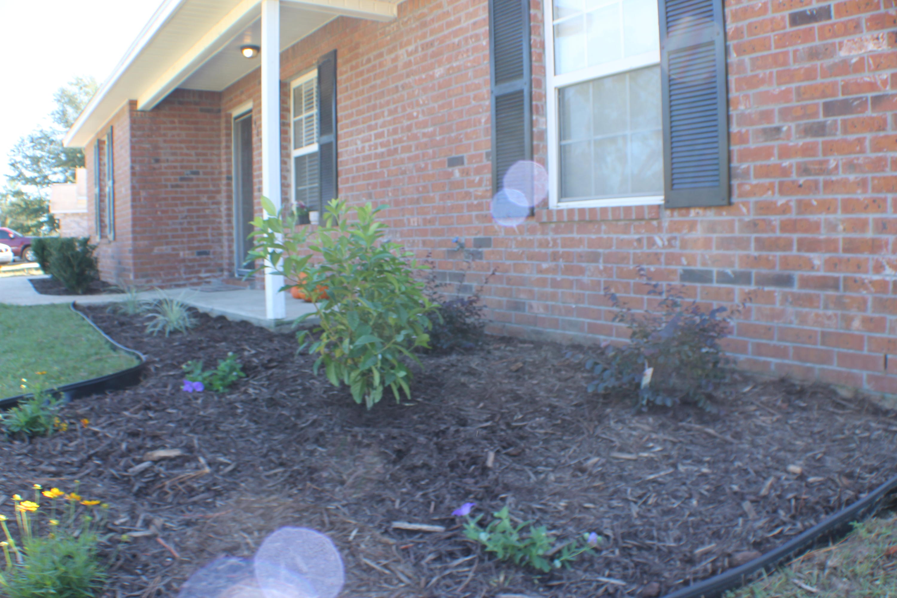 THE PINES - Residential