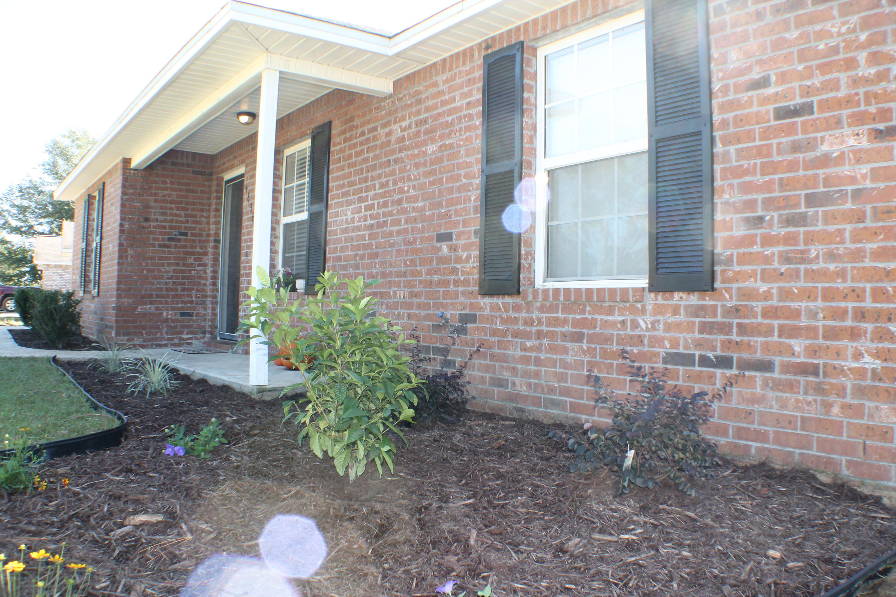 THE PINES - Residential