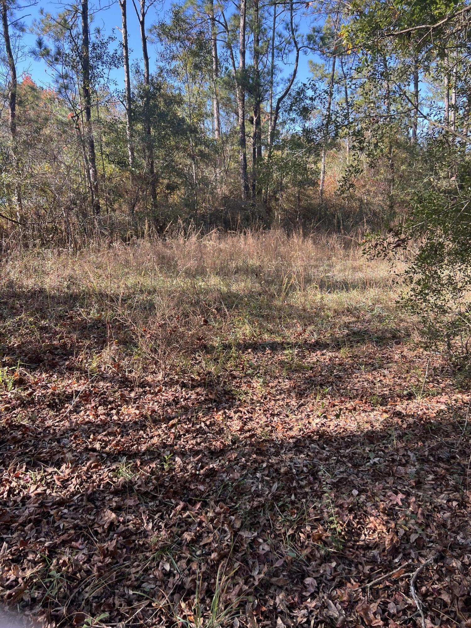Property located on canal in Bunker Creek Subdivision.  Listing includes two parcels at .43 acres each parcel for a total of .86 acres.  Parcel ID 19-2S-18-15010-000-1340 is also included.  There is a single wide mobile home of no value to be removed at expense of buyer.  Properties being sold AS IS.