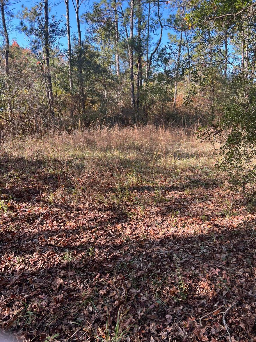 Property located on canal in Bunker Creek Subdivision.  Listing includes two parcels at .43 acres each parcel for a total of .86 acres.  Parcel ID 19-2S-18-15010-000-1340 is also included.  There is a single wide mobile home of no value to be removed at expense of buyer.  Properties being sold AS IS.