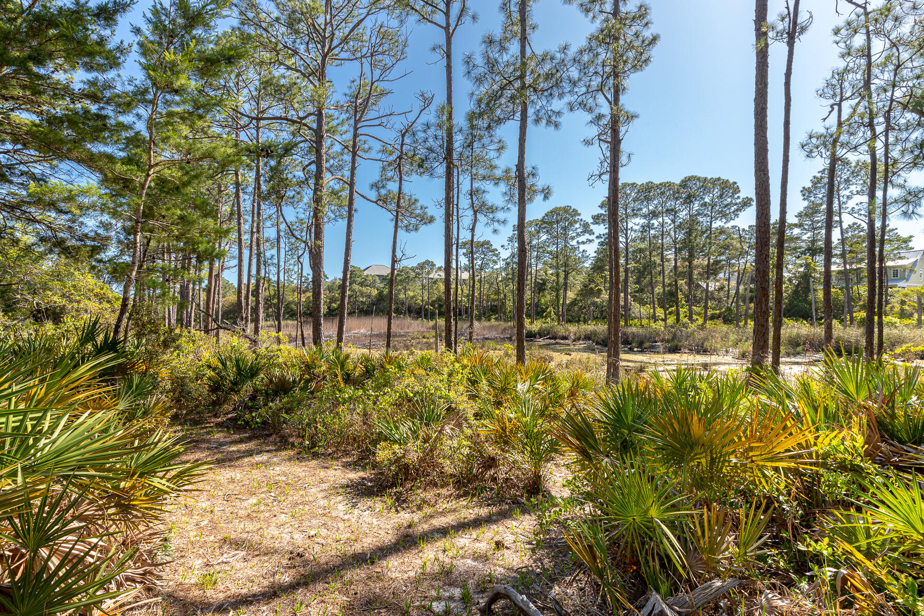LAKESIDE AT BLUE MOUNTAIN BEACH - Residential