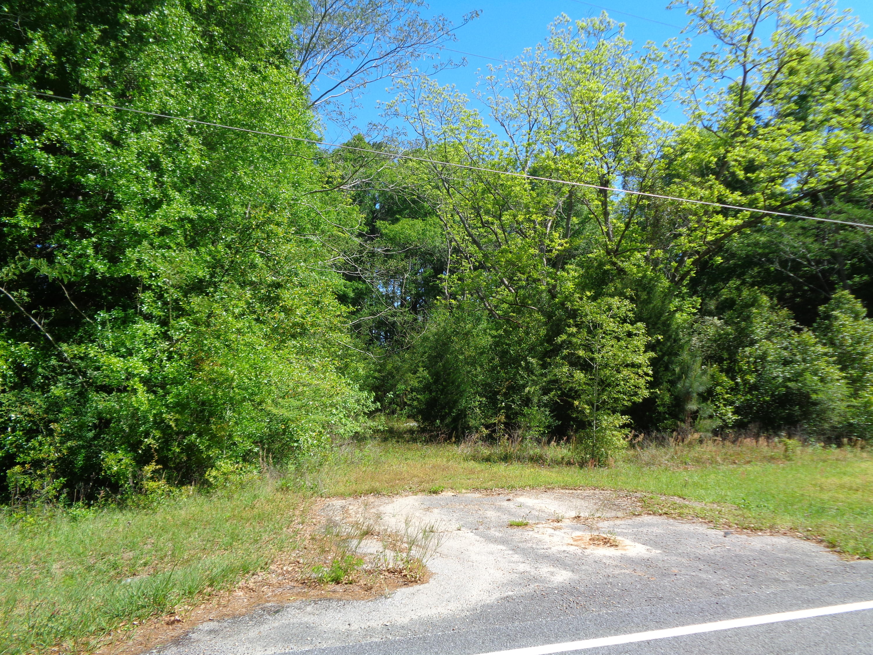 LOCATED IN NORTH WALTON COUNTY THIS 40 ACRES IS CENTERED IN THE CLEAR SPRINGS COMMUNITY WITH PAVED ROAD FRONTAGE. PROPERTY HAS 3 SEPERATE ACCESS POINTS PERFECT FOR YOU TO PICK YOUR SPOT TO BUILD - UPLANDS CONSIST OF APPROX 15 ACRES WITH THE REMAINDER PART OF PROPERTY BEING THE RUNOFF SPRINGS FROM LAKE JACKSON. PROPERTY ALLOWS FOR MOBILES.