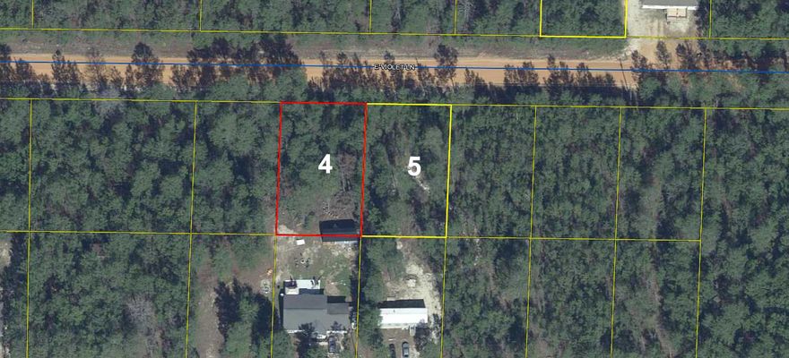 Wooded lot in the fast growing Mossy Head area, approximately 10 minutes from historic downtown DeFuniak Springs, voted the Best Small Town in Florida by MainStreet USA.