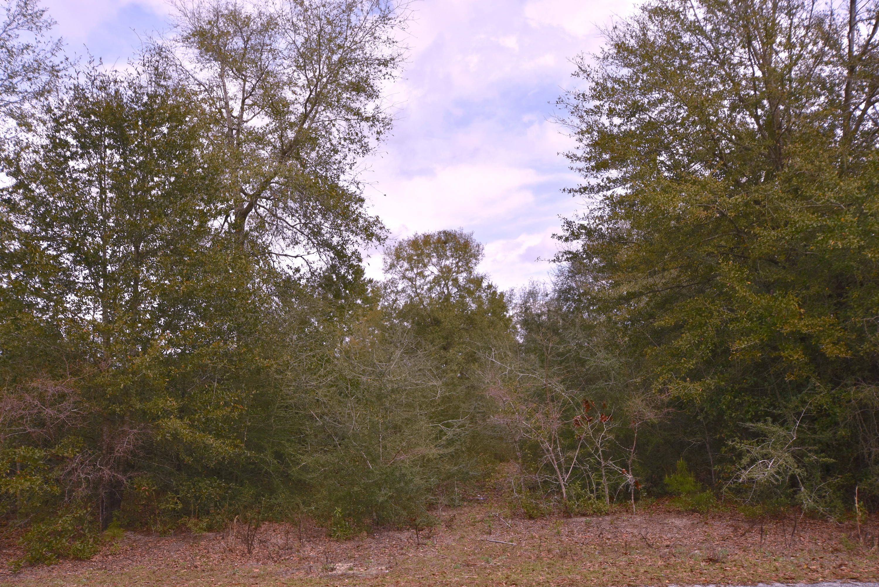 MOORES PLACE S/D - Land