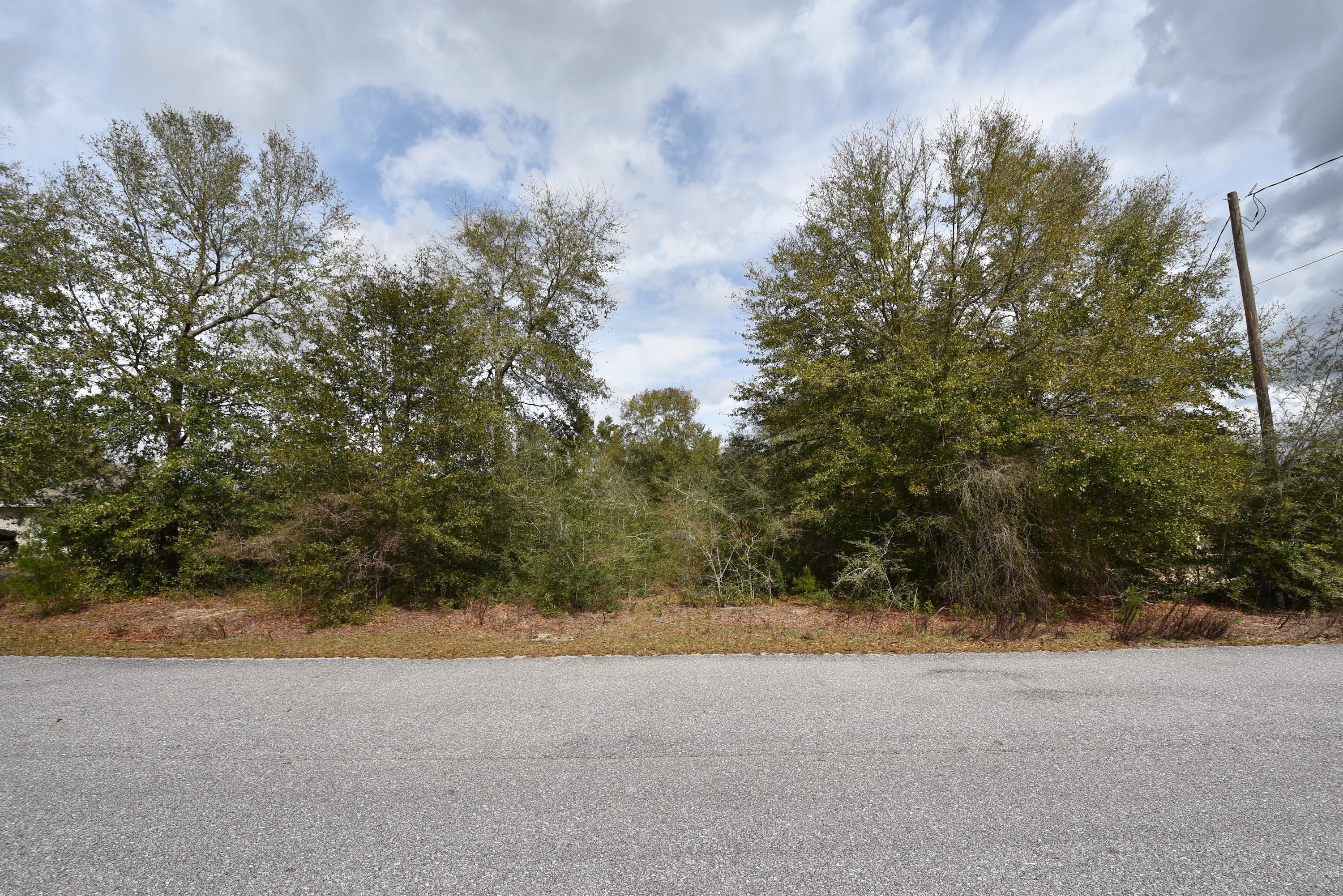 This building site is as level as a PANCAKE!!! Wooded lot in a popular Baker neighborhood. Although the Restrictive Covenants require that homes must have 1400 SF or more, the average SF of the homes in the neighborhood is over 1900 SF. See Documents Section for Restrictive Covenants. Zoning is Rural Residential. Utilities available are: electric, water, phone, cable. Please verify all information, including utility information. Take a look today!