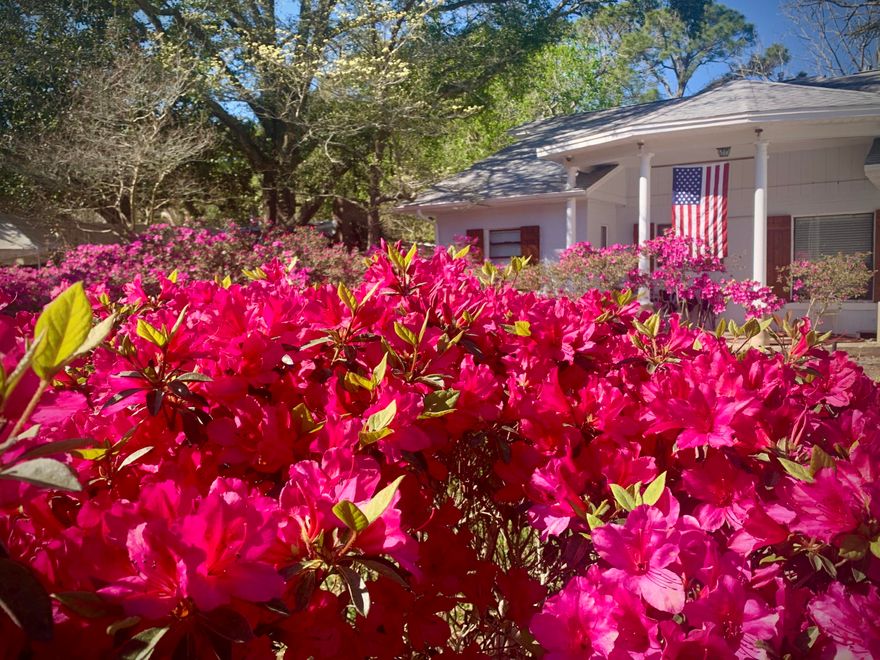 Discover comfort, style, and generous living spaces at 326 Kepner Drive! This thoughtfully updated 3-bedroom, 2-bath home offers a welcoming layout and modern touches throughout, making it an ideal place to settle in and enjoy.Step inside to an open living and dining area accented with crown molding, updated lighting, and detailed trim work.  Just off the dining space is the bright and cheerful kitchen featuring porcelain countertops, a stylish tile backsplash, and white painted cabinetry, under-cabinet lighting , a deep sink, and a convenient breakfast bar for everyday dining or entertaining.The light-filled family room provides an additional space to relax or gather, with large windows that pour in natural light.The primary suite offers offers a spacious retreat with recessed lighting, crown molding, abundant natural light, and a massive walk-in closet. The updated en-suite bathroom showcases a modern black-and-white design and includes a dedicated laundry area for added convenience.

Two additional bedrooms provide comfortable space for family or guests and feel warm and airy with updated flooring and crown molding throughout.

Outside, the property continues to impress with a large detached workshop equipped with power, a covered patio for outdoor relaxation, and a garage featuring an expansive upstairs attic. The attic offers excellent storage potential and could be finished for additional heated and cooled square footage.

326 Kepner Drive is move-in ready and designed to meet your needs with style and comfort. Take a tour of this beautifully updated home today! 