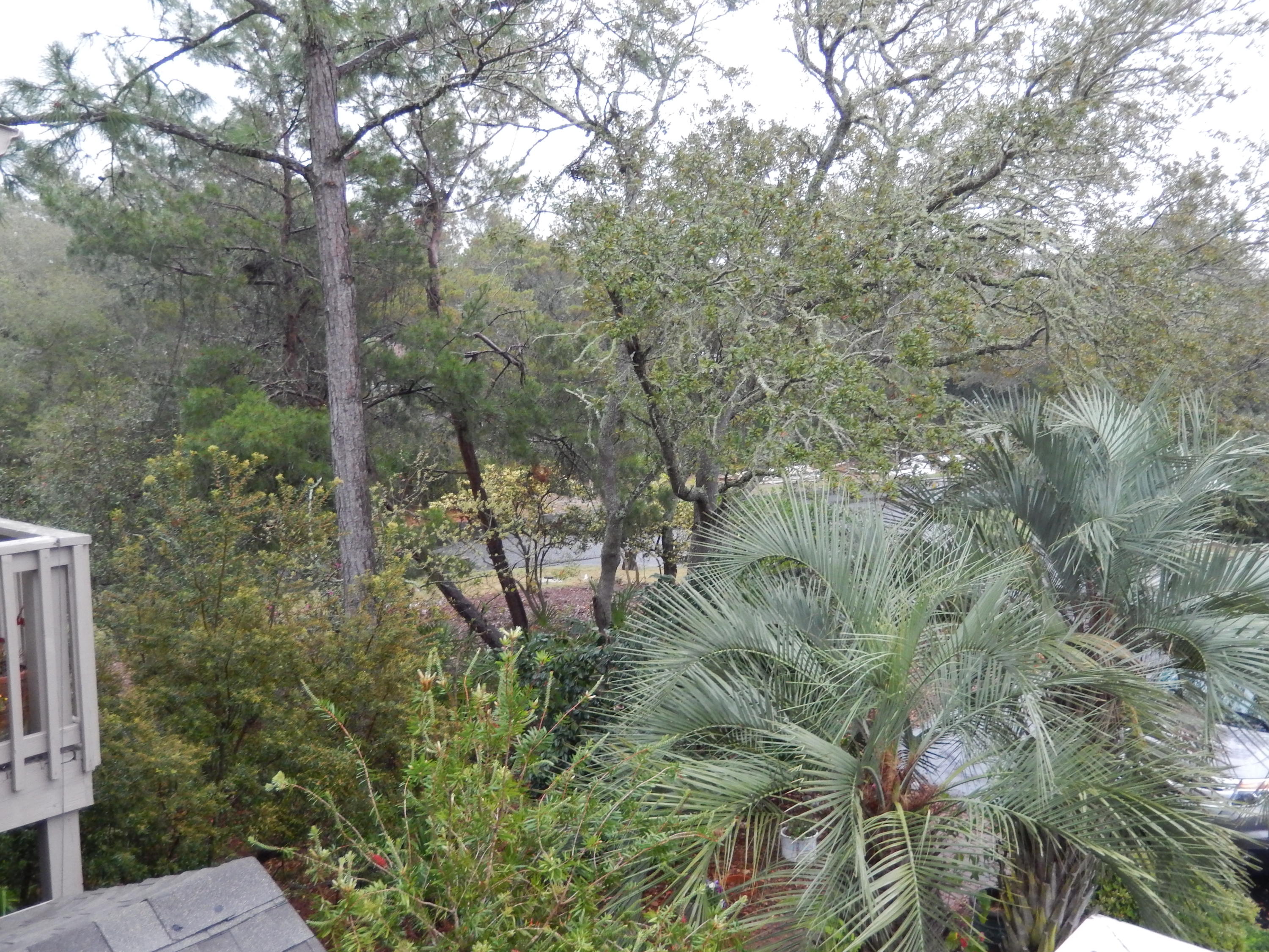 CASSINE GARDENS T/H PH 3 - Residential