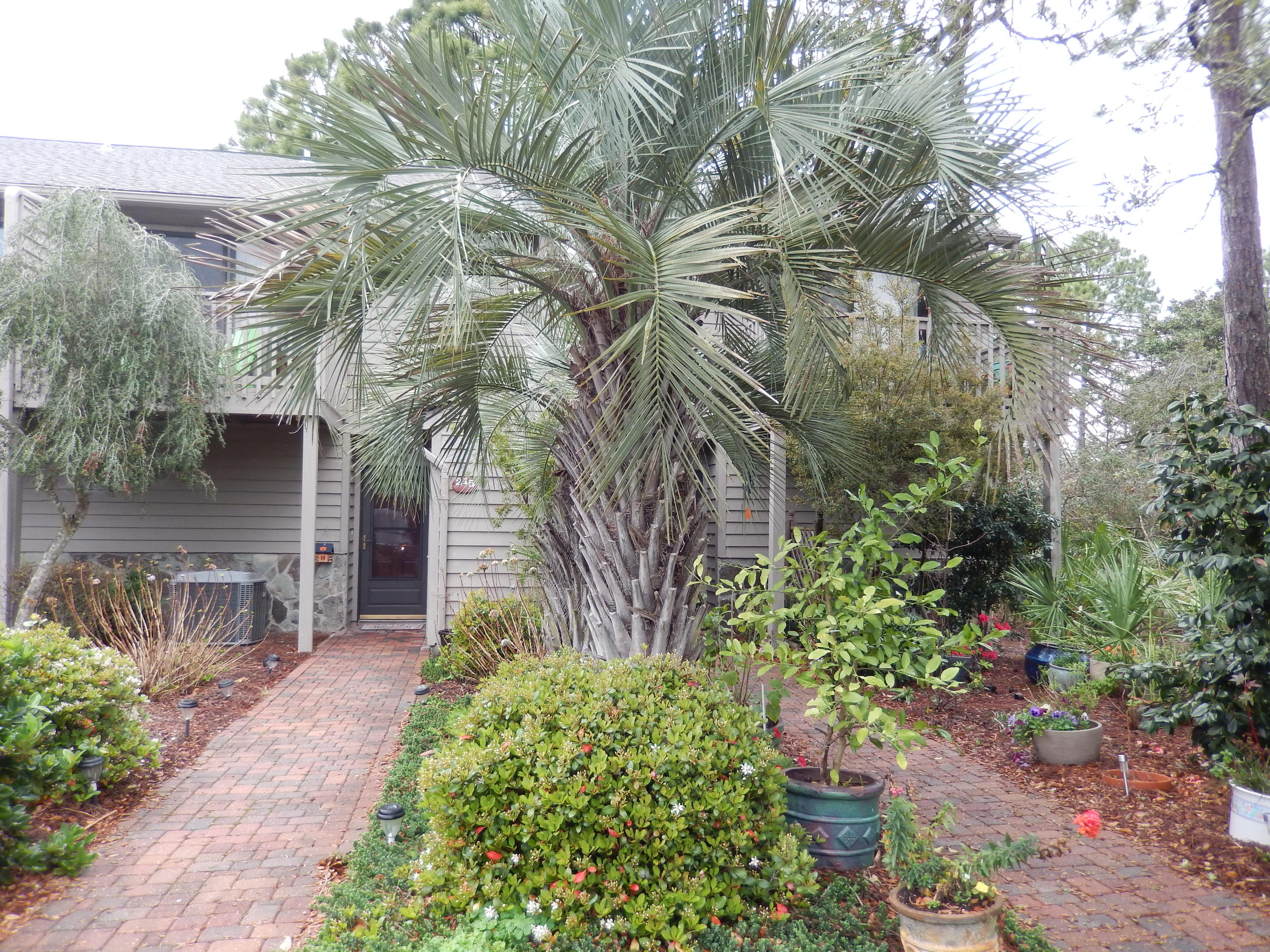 CASSINE GARDENS T/H PH 3 - Residential