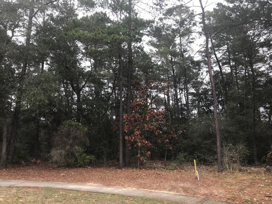 One of the last remaining large, flat lots in Swift Creek
