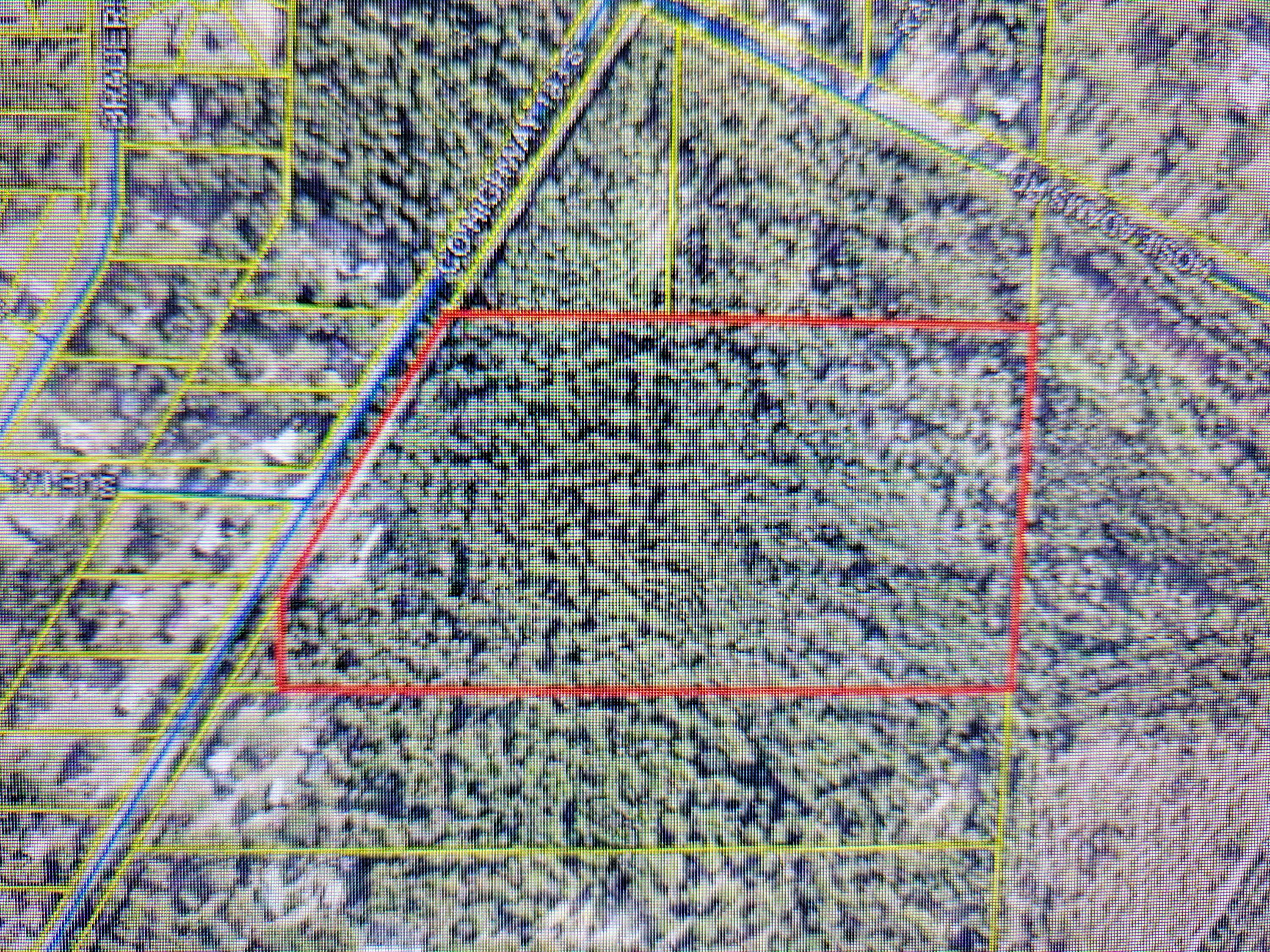 Beautiful 21.83 acres(subject to an up-to- date survey). Located in Eucheeanna Valley of Walton Co. This property has been in the Seller's family for over 100 years. Property has a creek and remnants of the original homestead family still can be seen there. There is an older trailer on the property (no value given). Septic on the property but not guaranteed. Located on a paved road only 45 minutes to Panama City or 50 minutes to Destin. Make this your family's future homestead with a new home or new manufactured home. No HOA! No restrictions! Seller is in the process of having debris removed.