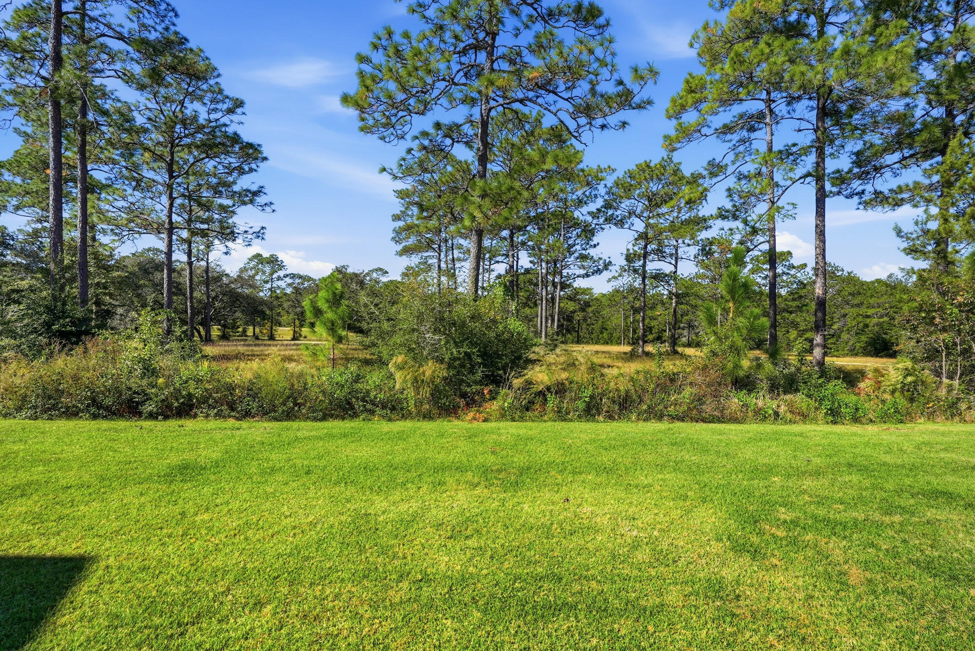 VERANDAS OF FREEPORT, THE - Residential
