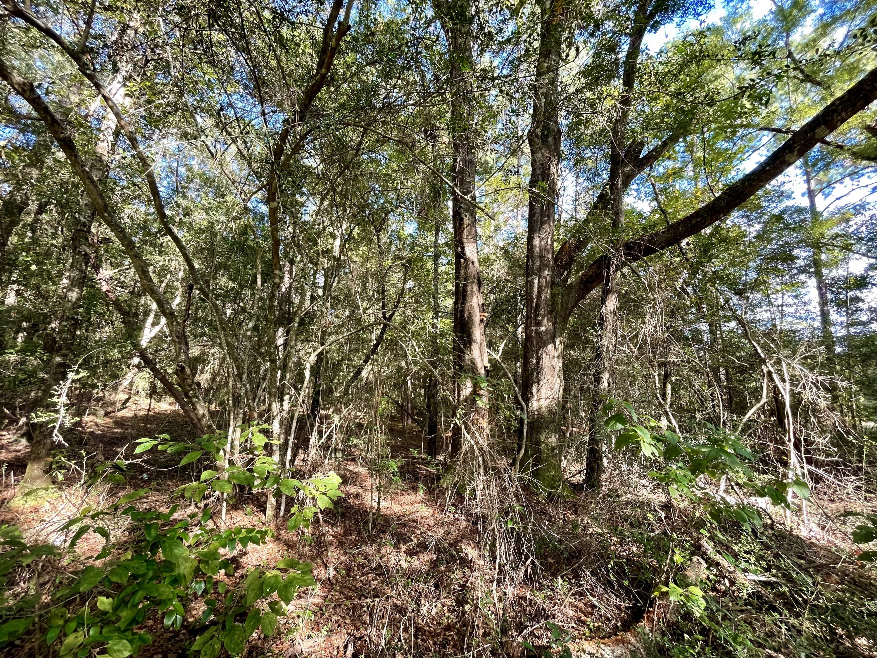 METES & BOUNDS - Land