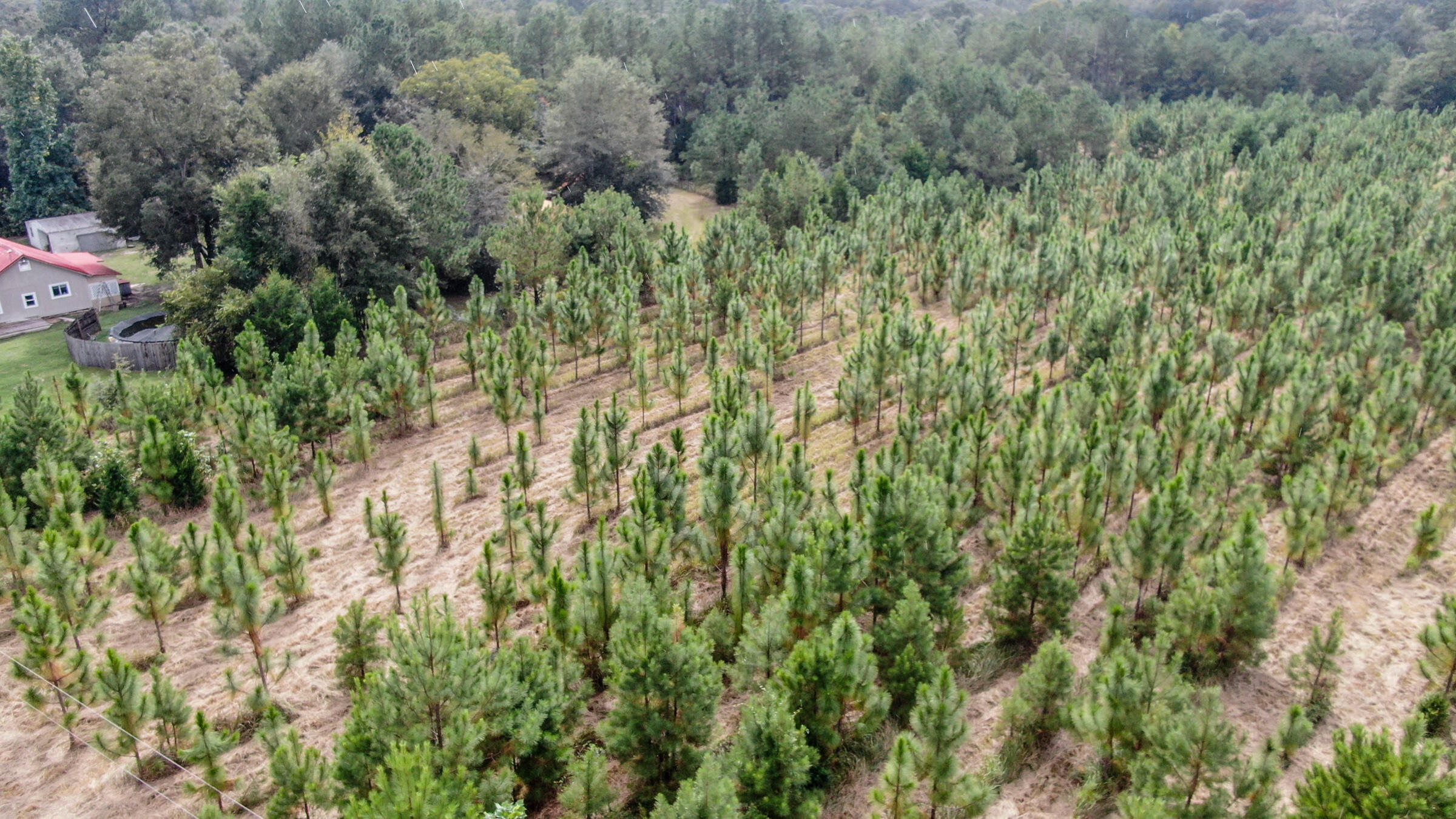 METES & BOUNDS - Land