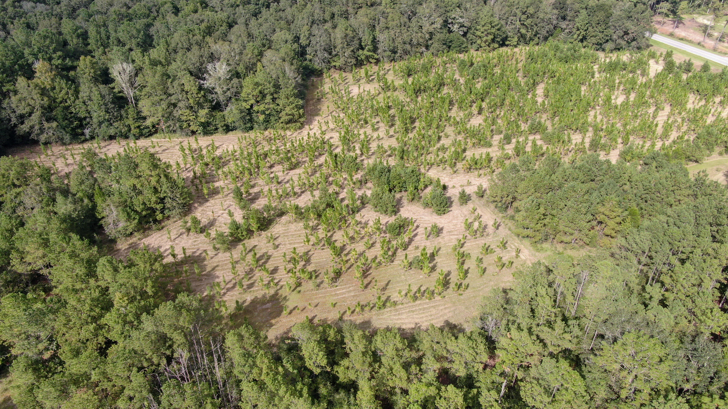 METES & BOUNDS - Land