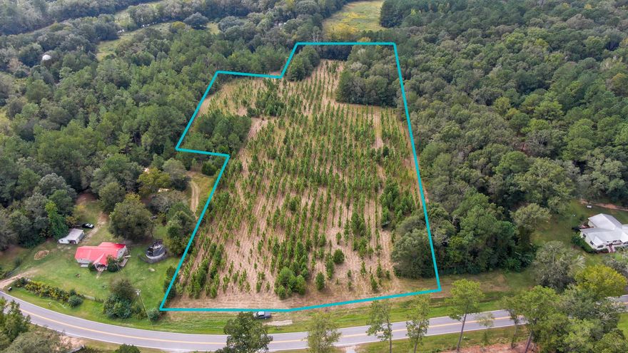 **Buyer's financing fell through. Back on the market.**Perfect building location! High and dry, level, primarily in young planted pines. One corner (appx 1.5 Acres) that has natural growth with hardwoods, which would make a picturesque building site. The remaining acreage would too! Hard to find level, buildable land on a paved road, just 1 mile east of the Walton County line.